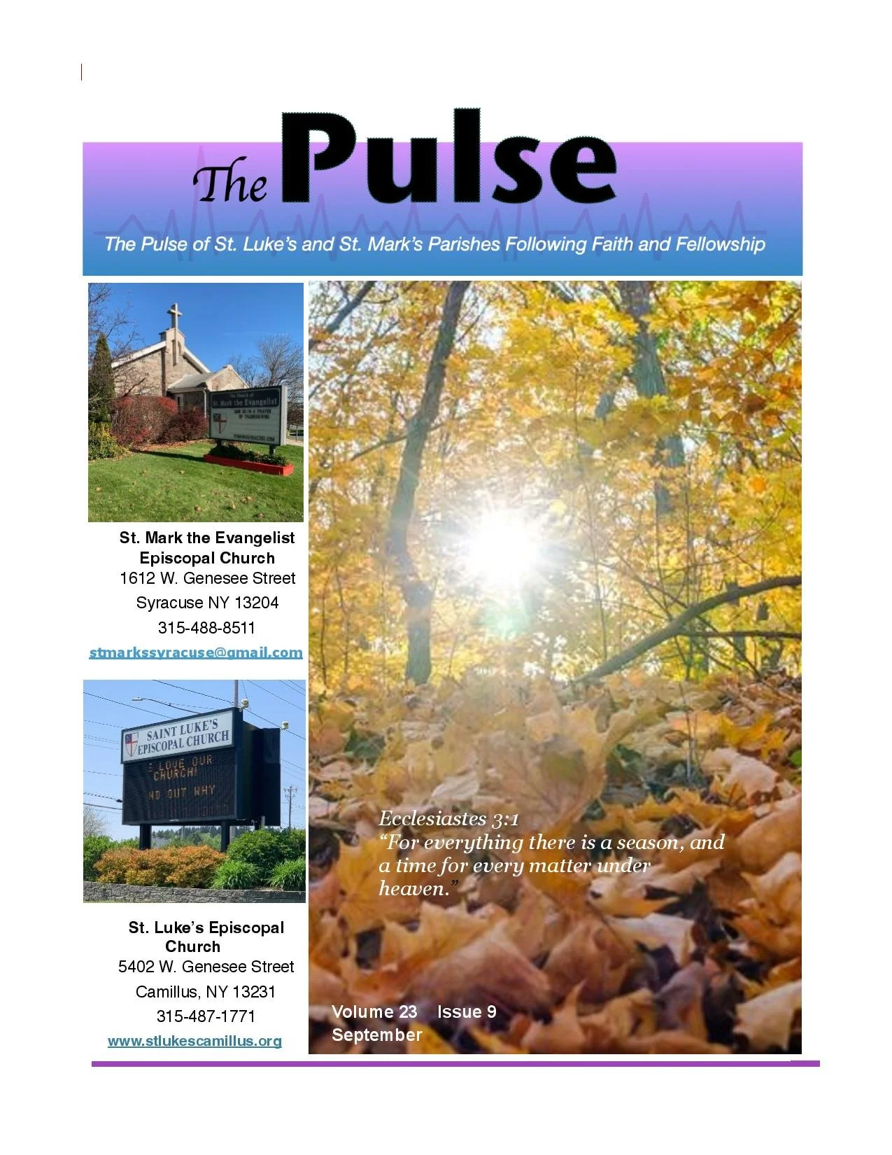 Pulse September 2026-page-001.jpg