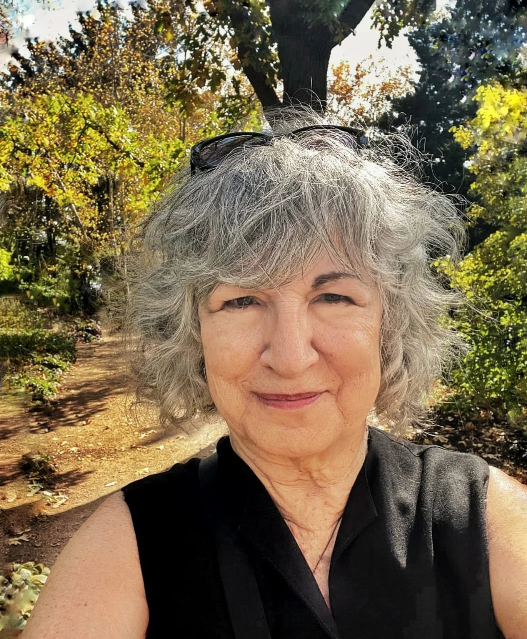 Vicki Engonopoulos,  Artista Residente Pintura, Chicago, Estados Unidos.