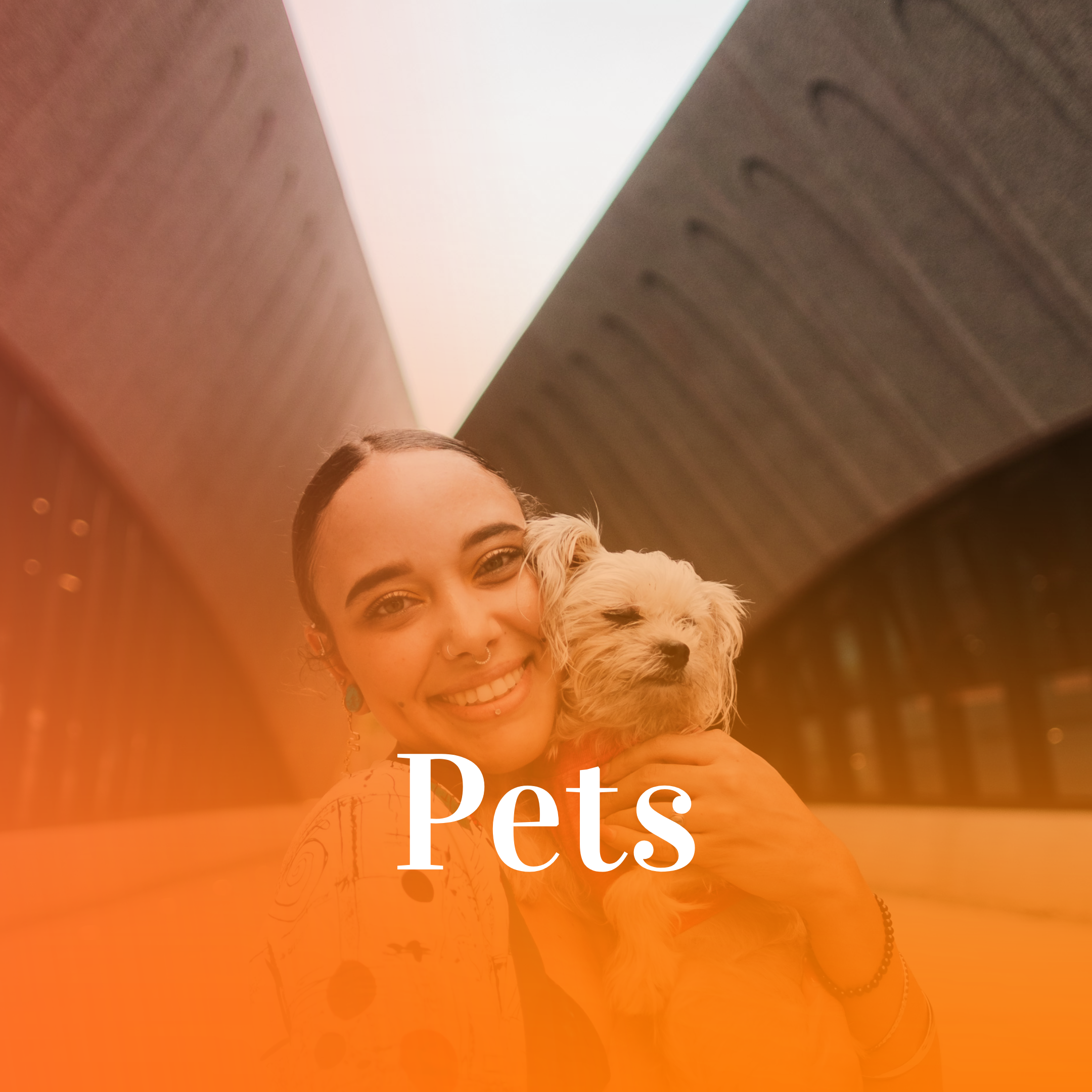 Pet Influencers and Pet Care Influencers