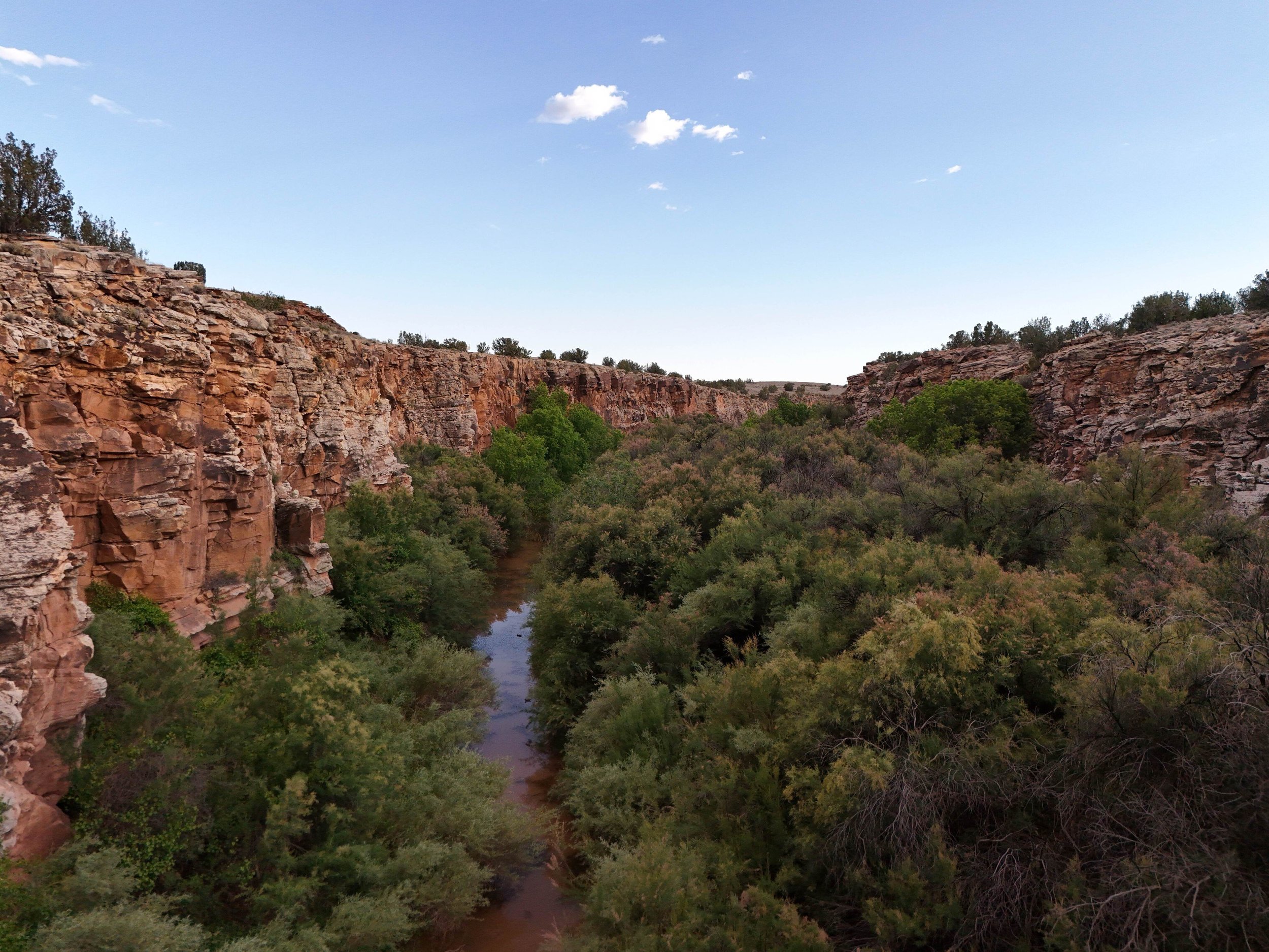 DJI_20260523193220_0835_D.jpg