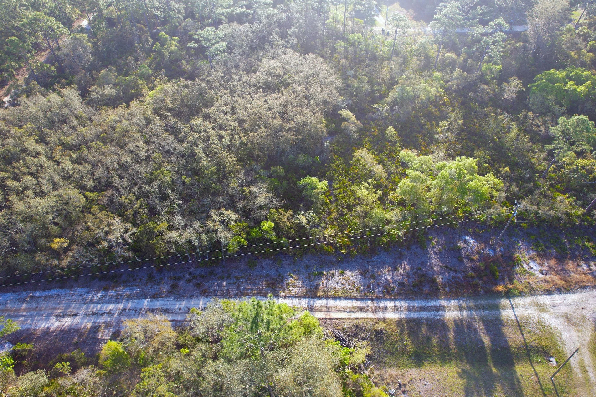 DJI_0968.jpg