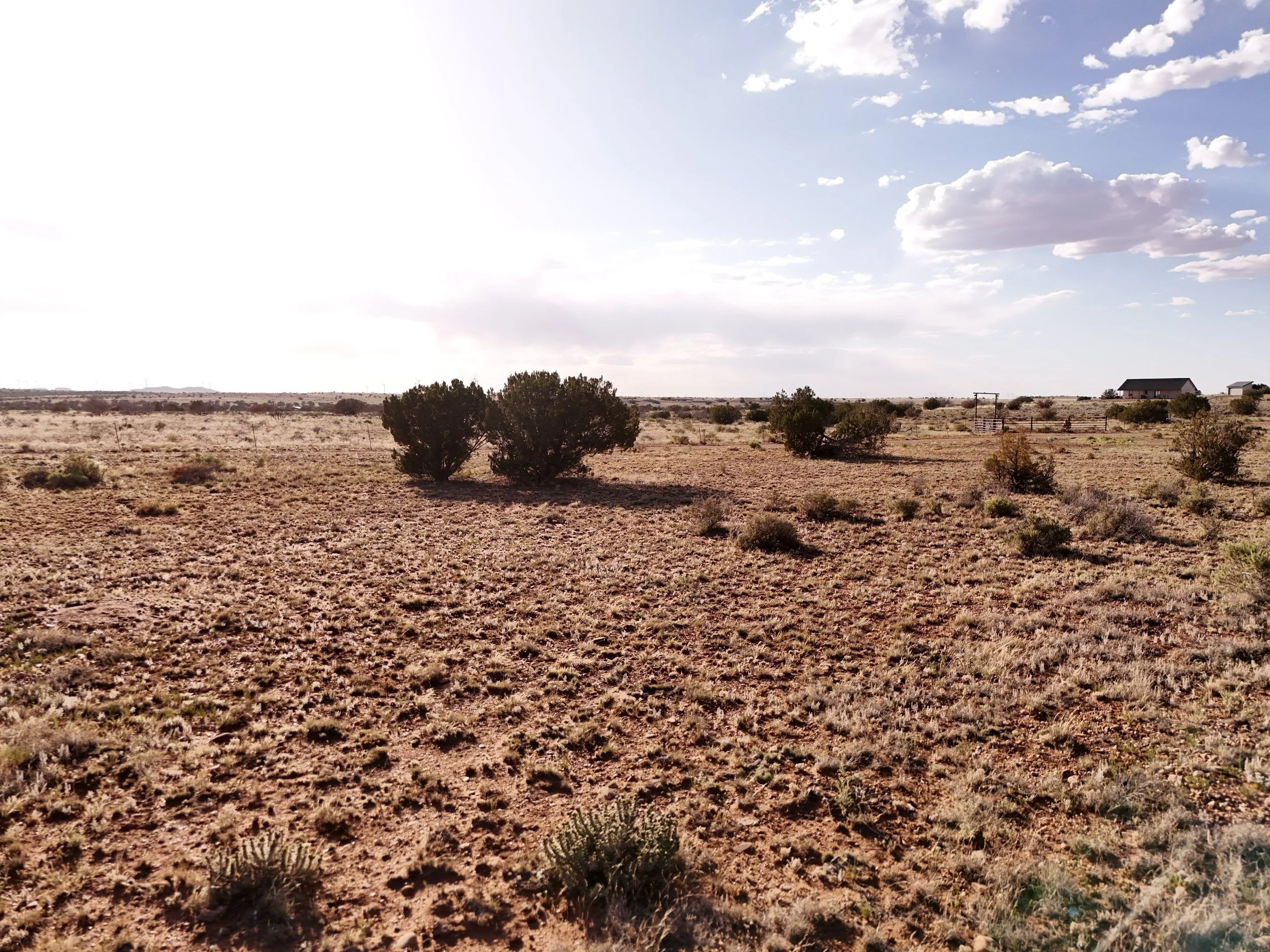 DJI_20260523184046_0728_D.jpg