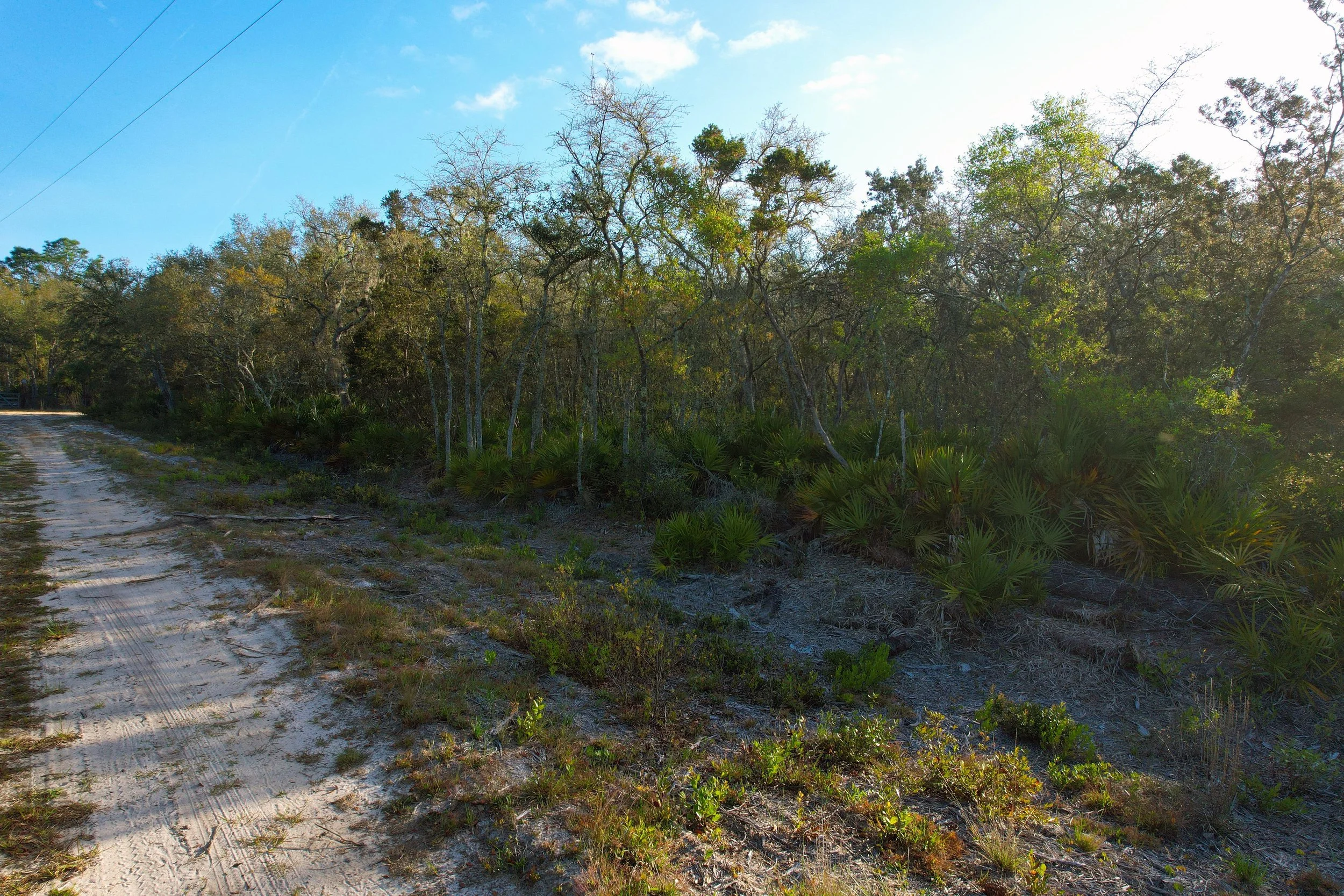 DJI_0947.jpg