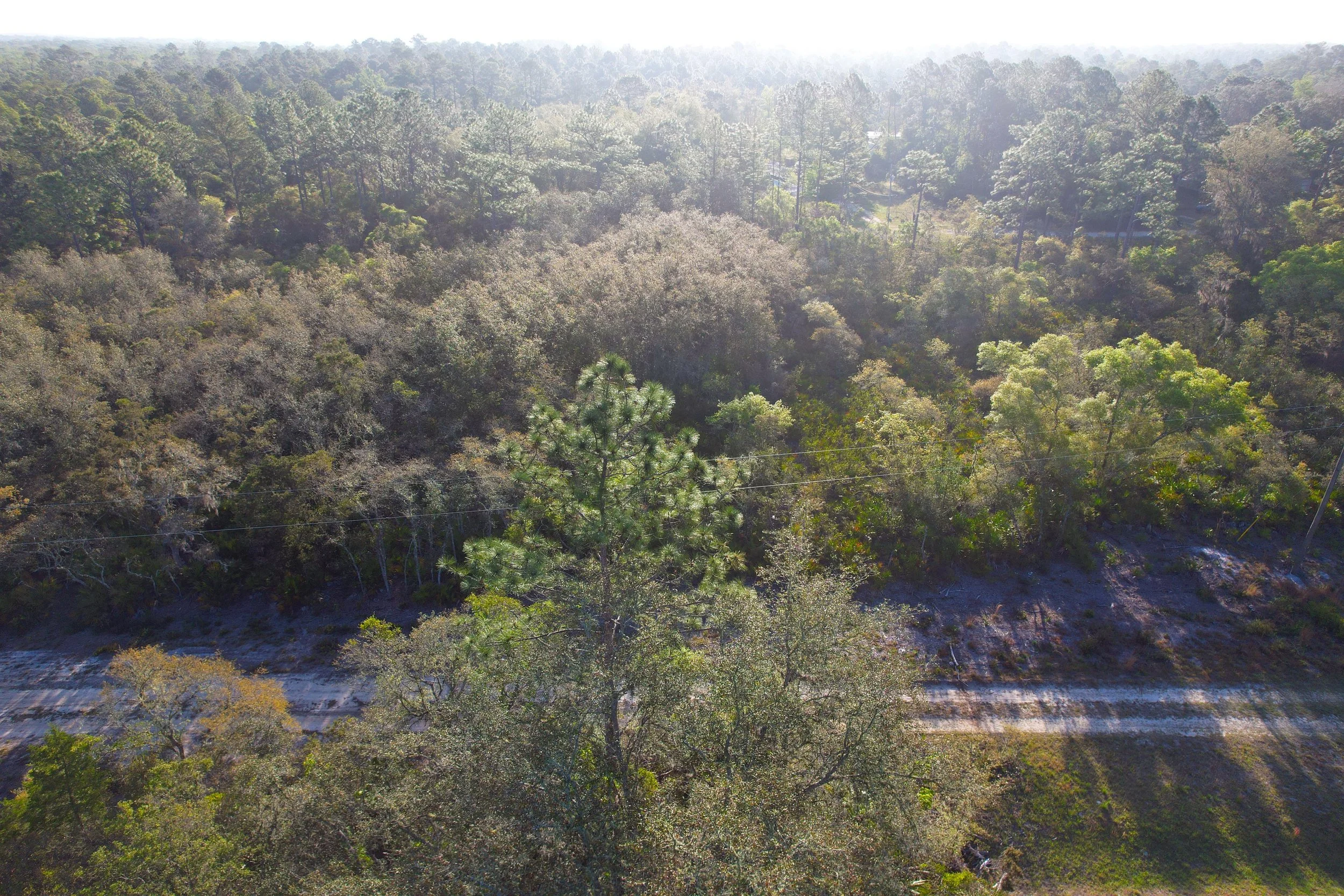 DJI_0957.jpg