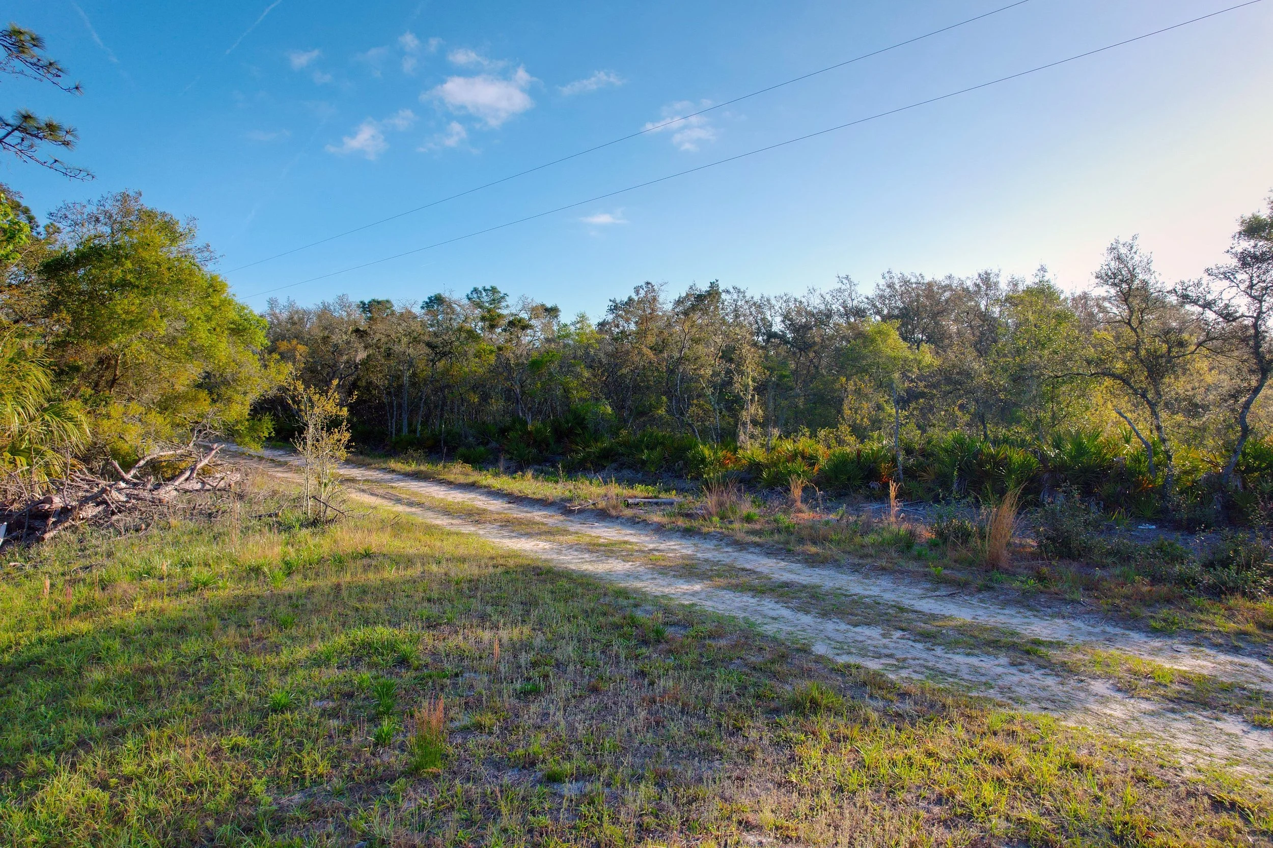 DJI_0950.jpg