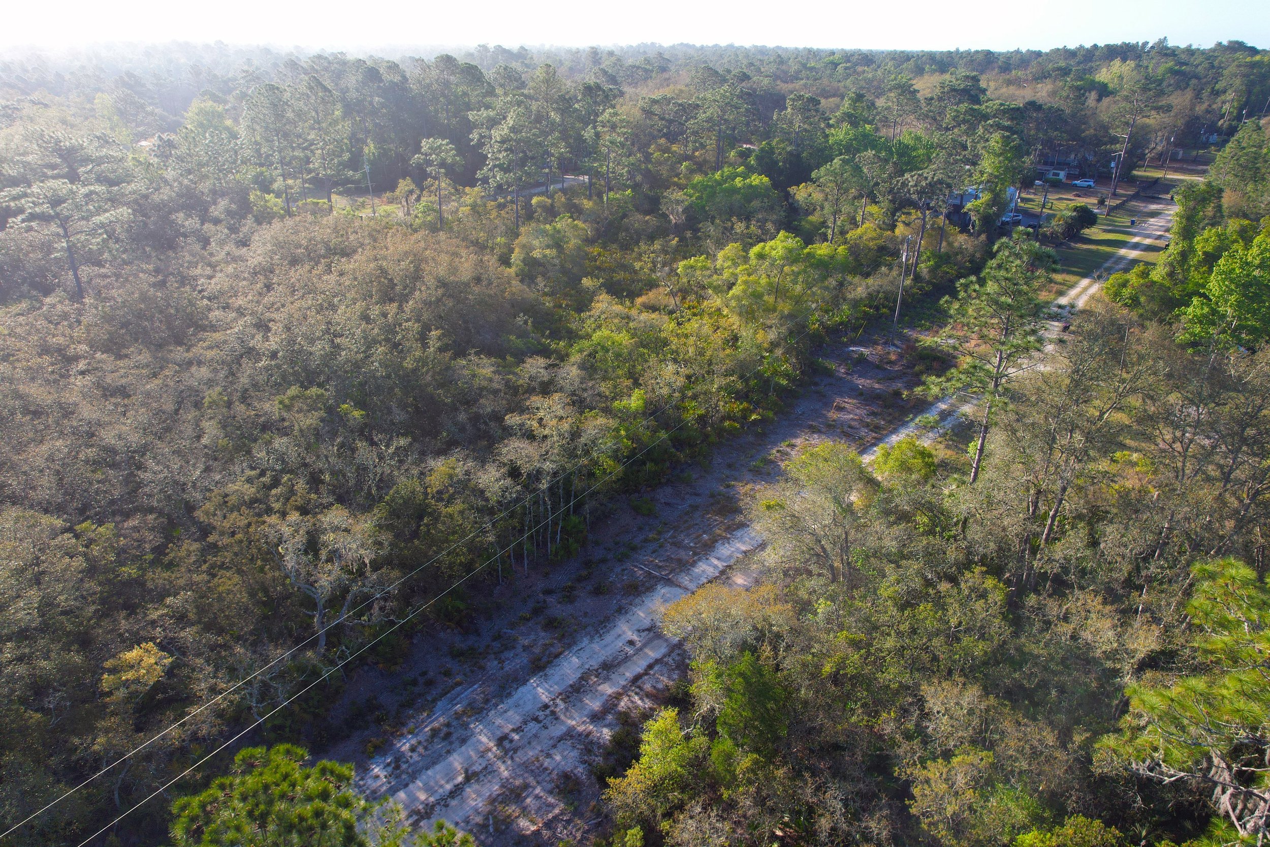 DJI_0956.jpg