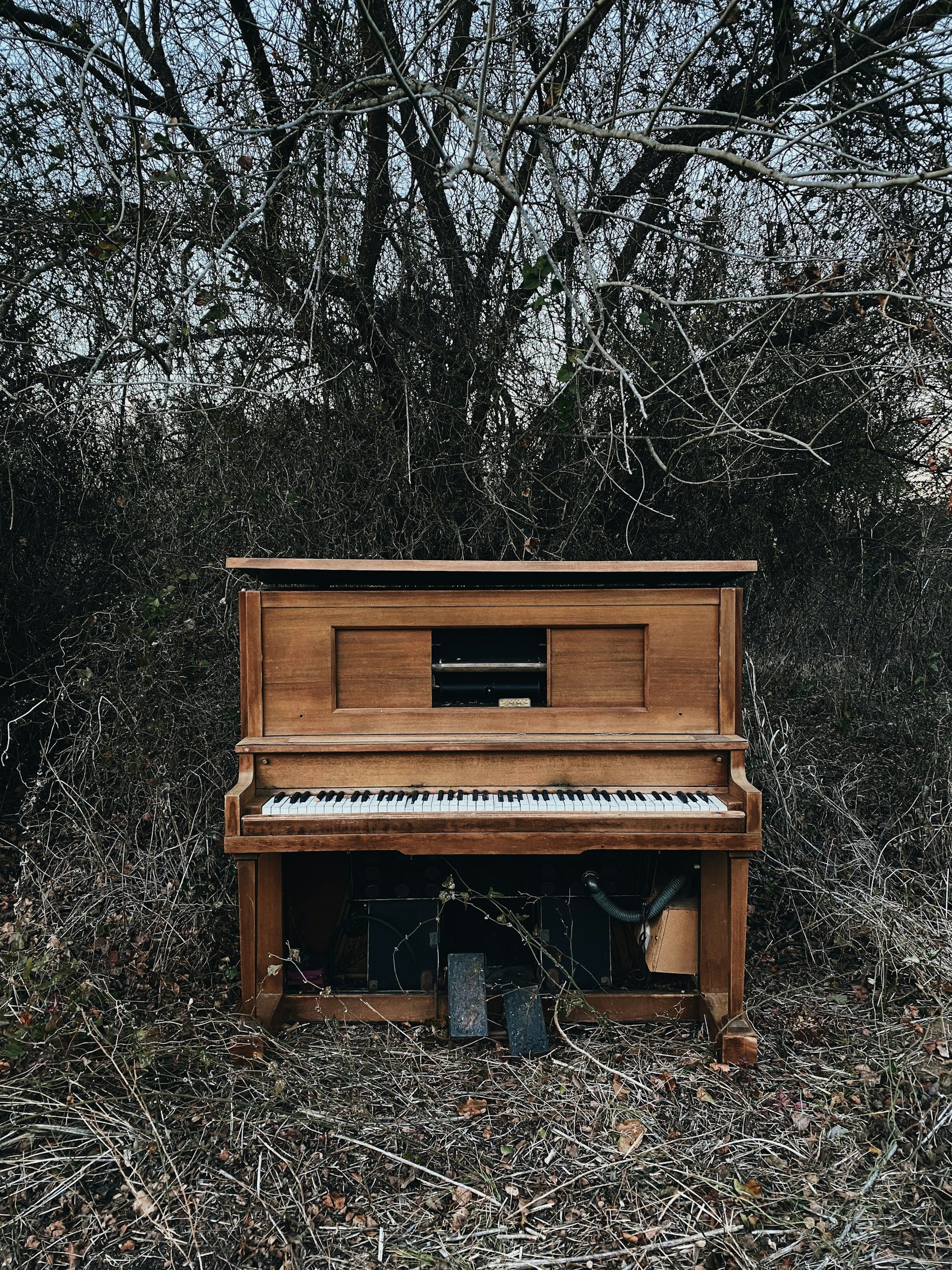 NO WRONG NOTES…