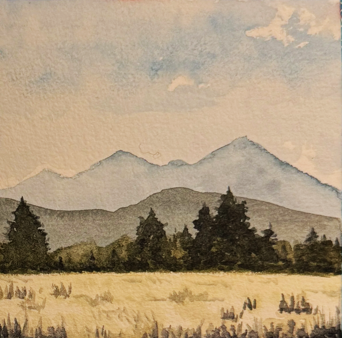 Watercolor Tip: Mastering the Gradient Wash