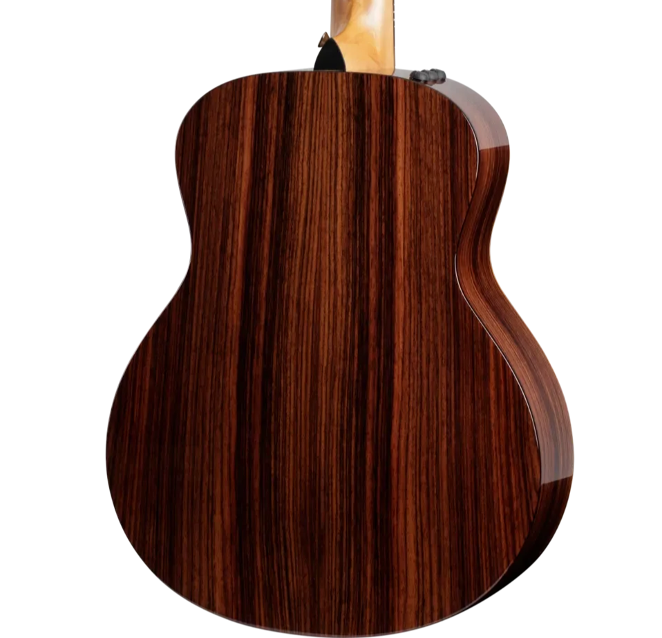 taylor-gs-mini-rw-plus-2209262334-backleft-2022.png-2.png