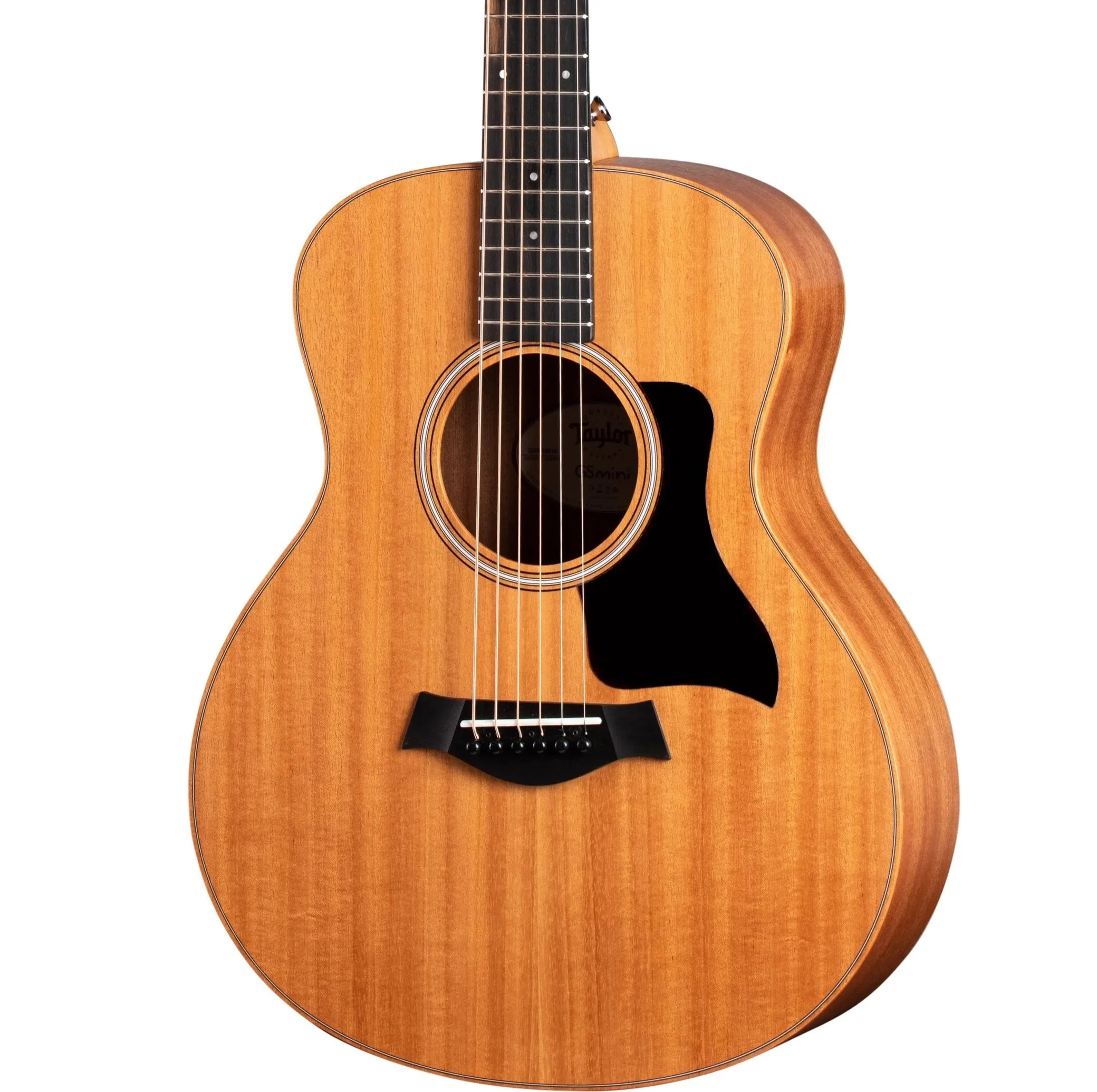 Taylor-GS+Mini-e+Mahogany-00887766069775-FrontLeft-2021+copy.jpg