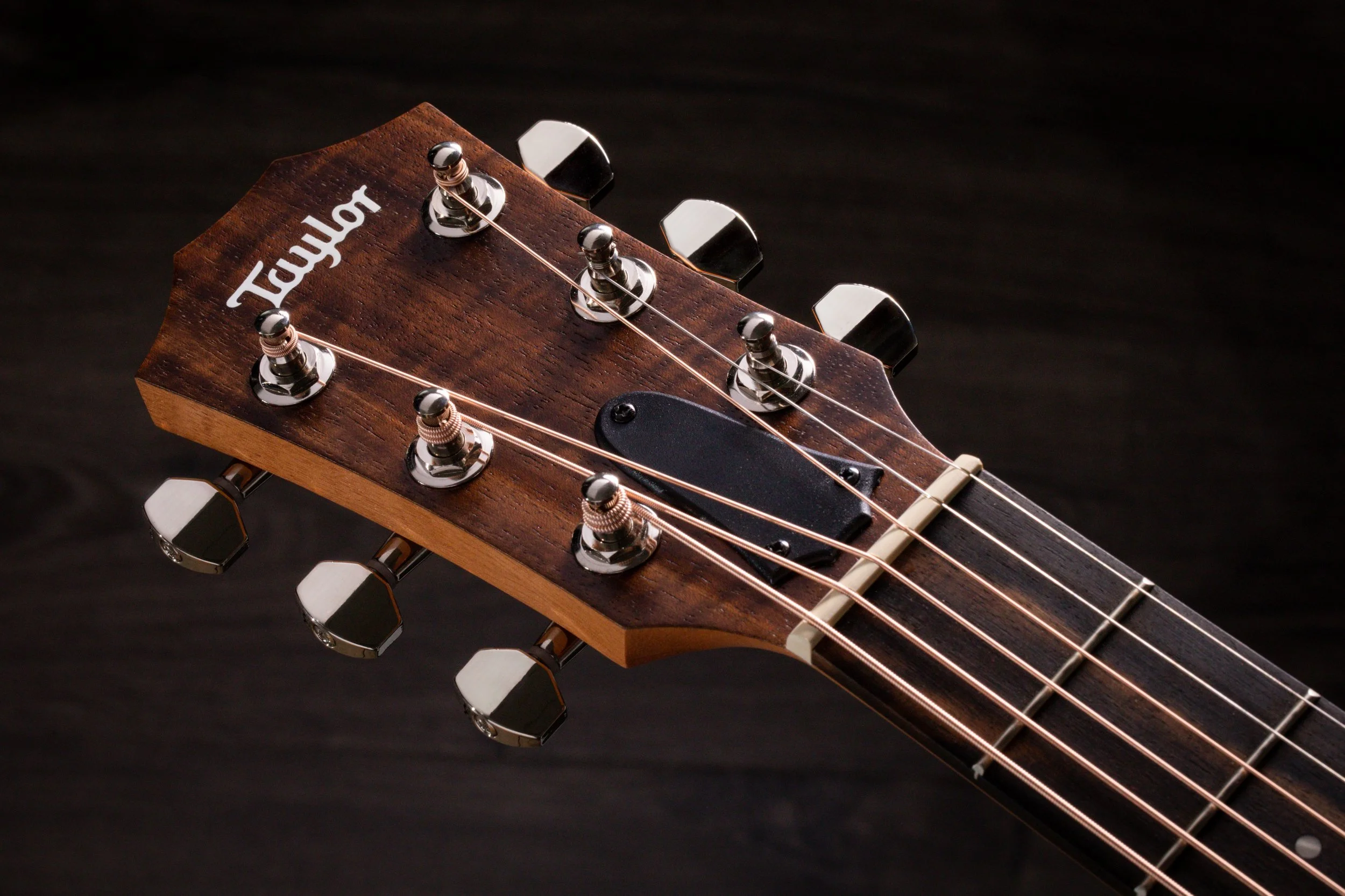 Taylor-GS Mini-e Koa Plus-00887766105428-Gallery-09-2021.jpg