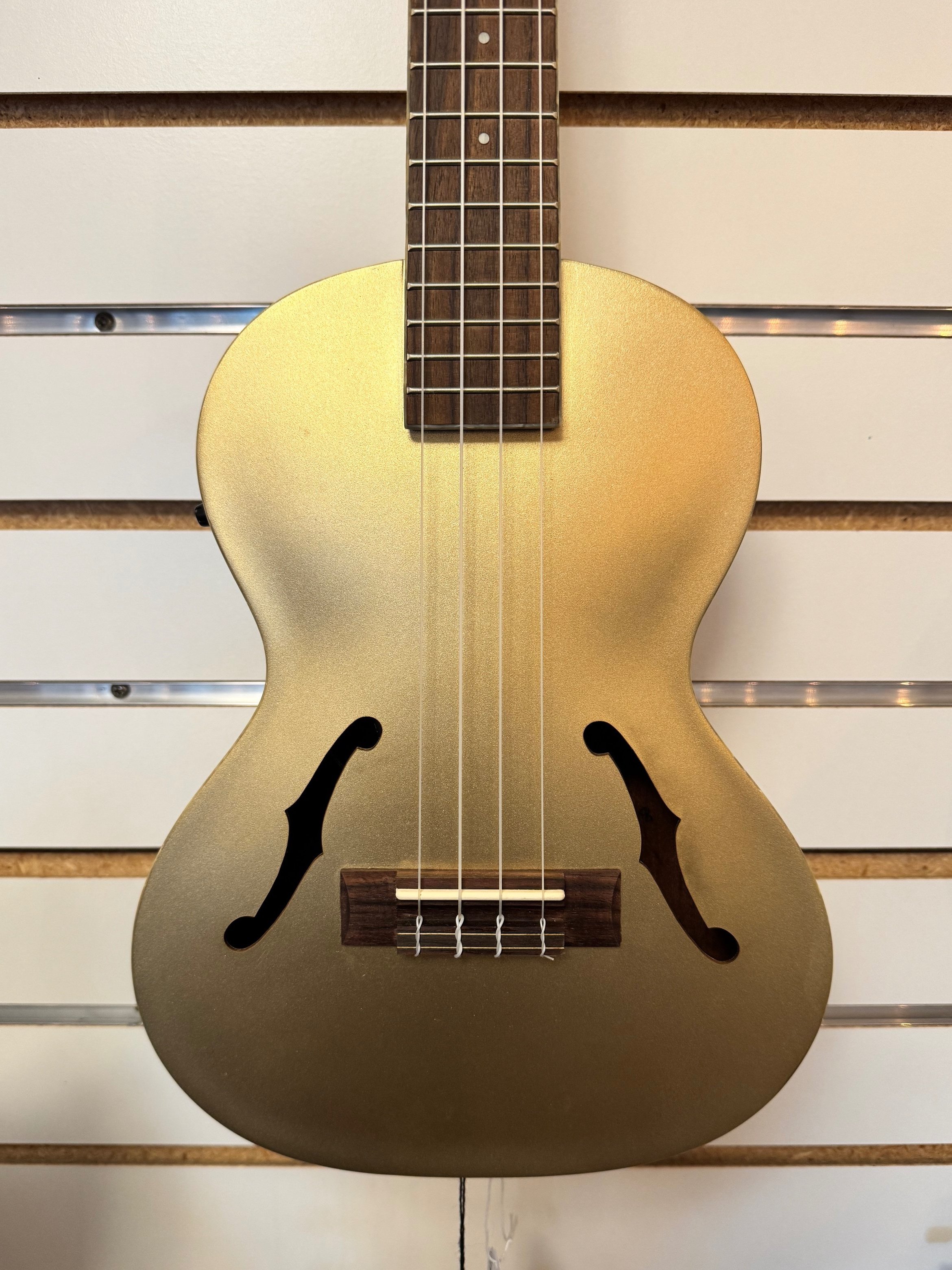 Kala Tenor Ukulele with Electronics.jpg