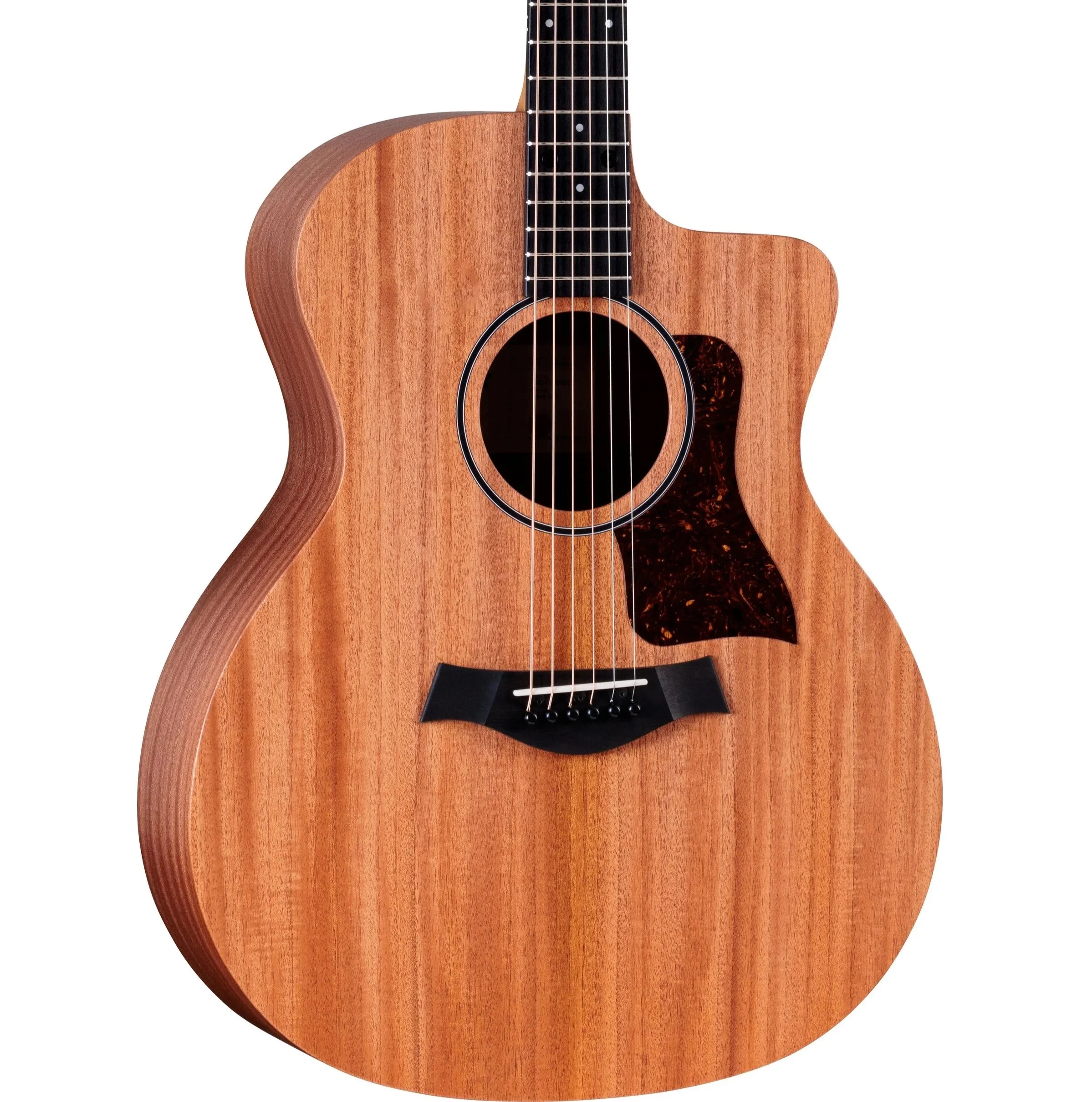 Taylor 24ce w/ Fishman Pickups & Deluxe Gig Bag