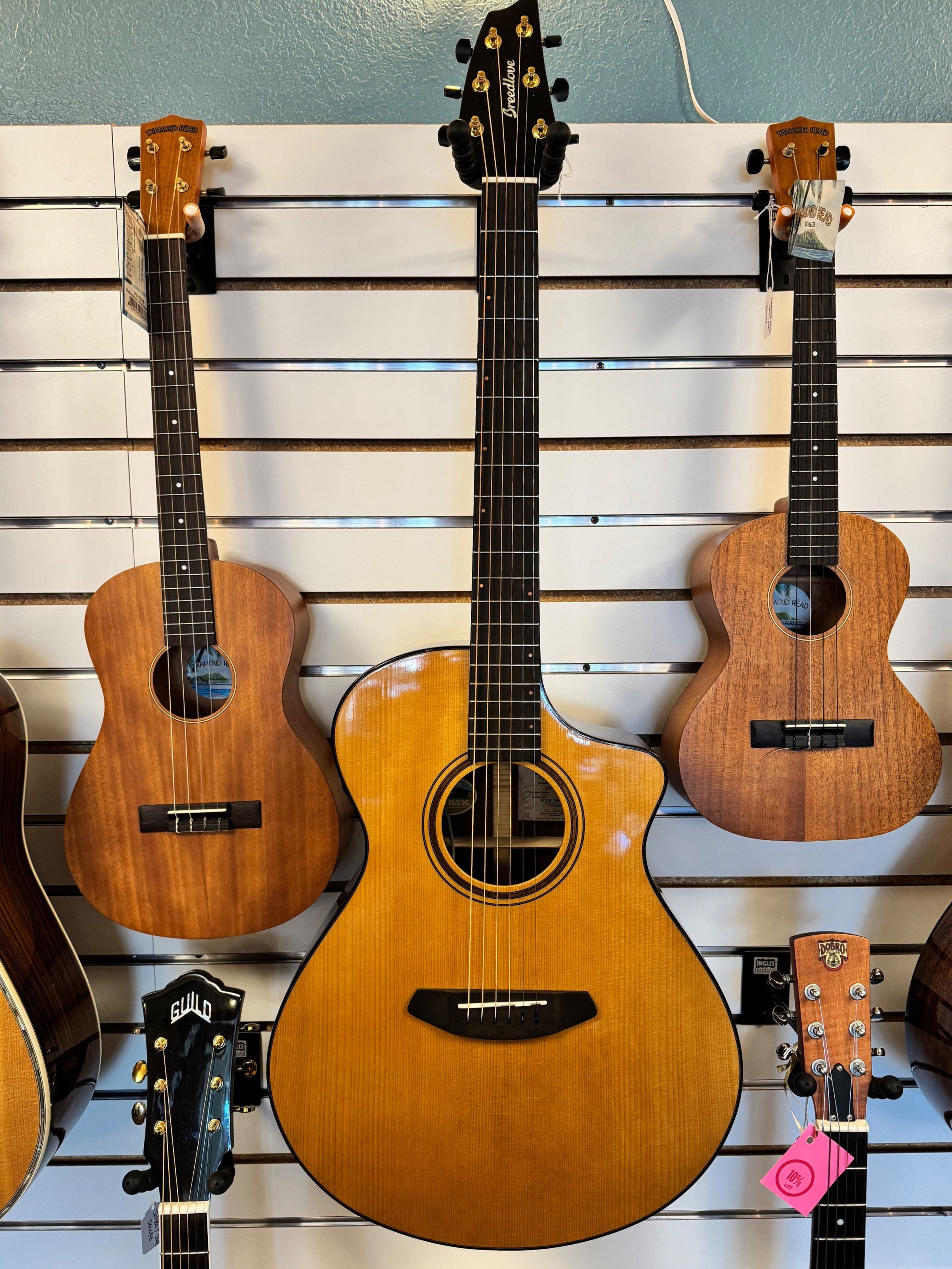 Breedlove Performer Pro Concert CE - Rosewood 3.jpg