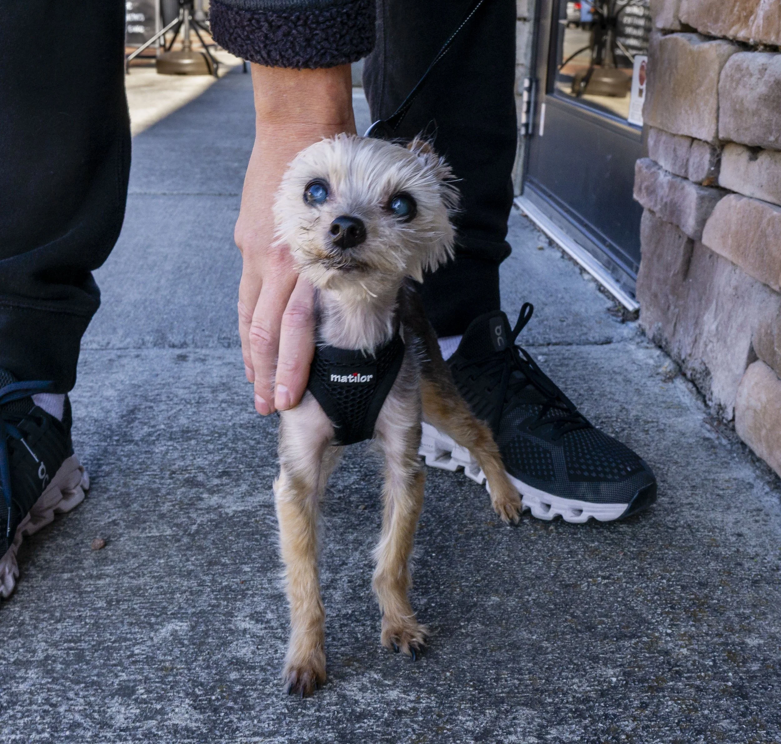 3_21_25 Street Kpt  72 dpi 3.JPG