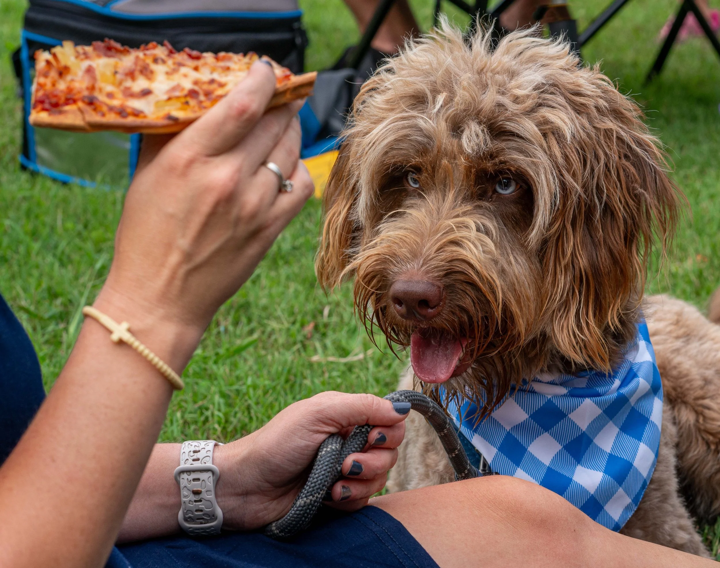 7_21_25 Dogs funfest  72dpi-3.jpg