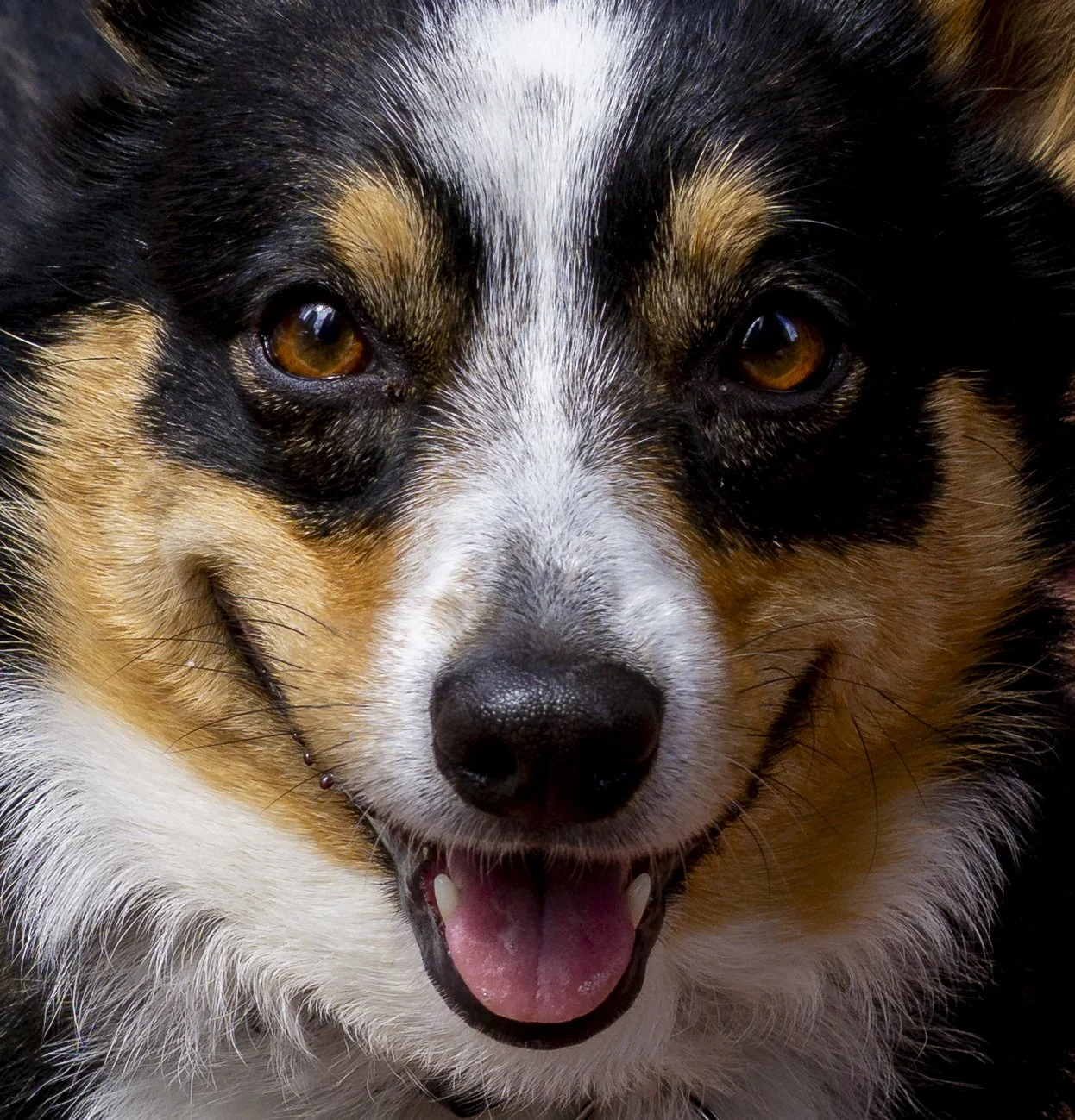 5_23_25 Boston Walk A 72 dpi (10 of 27).jpg