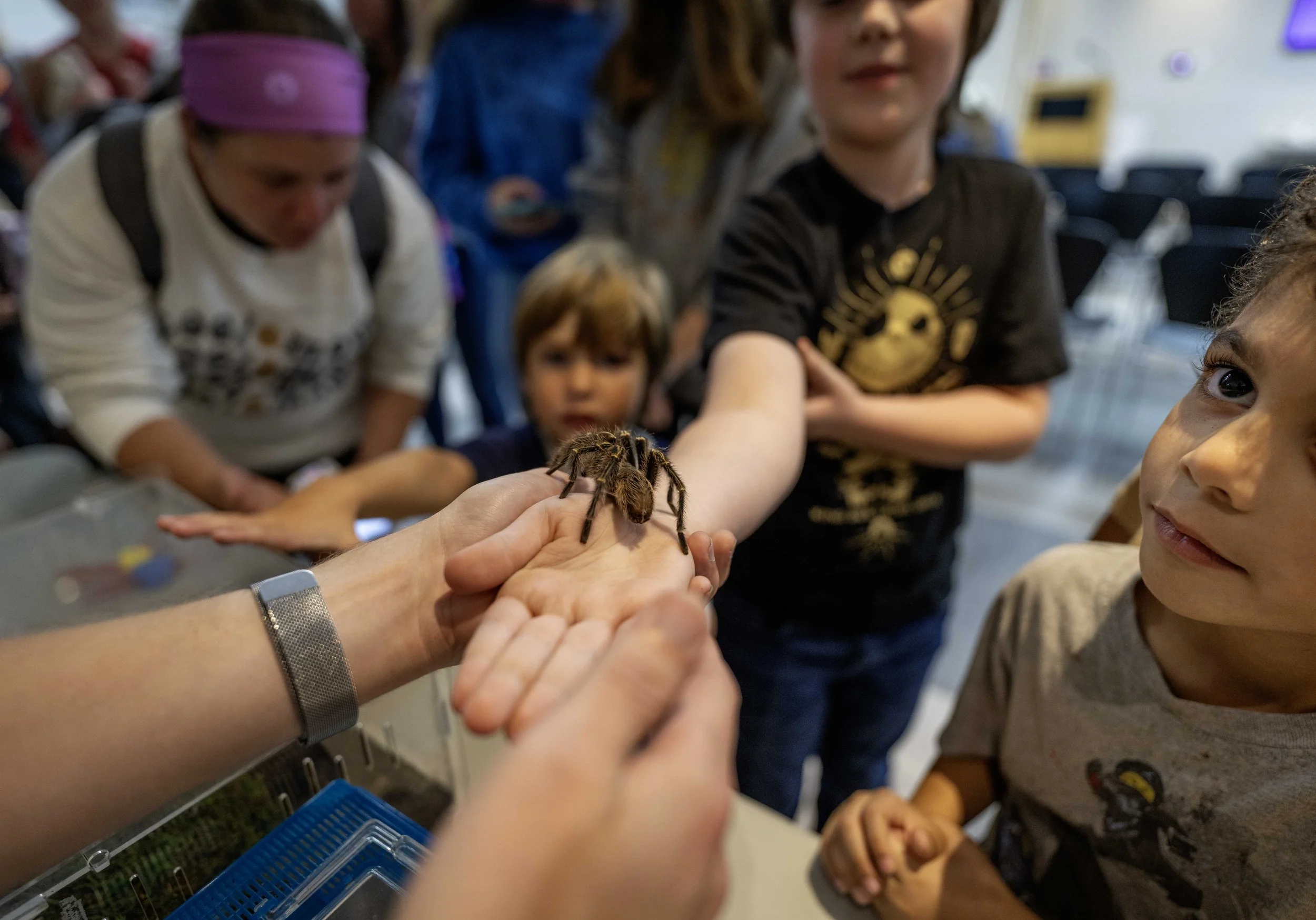 10_14_25 Spider Talk 72 dpi d-25.jpg