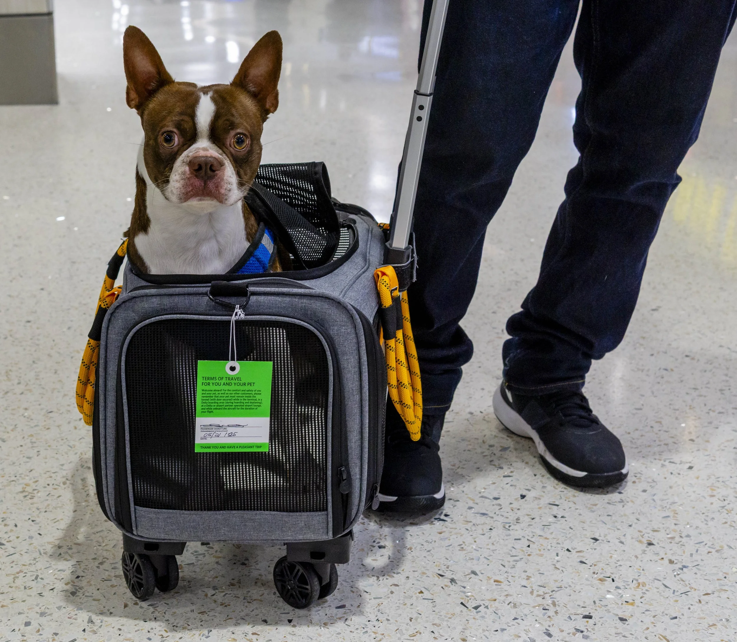 5_22_25 Boston Walk 1 72 dpi.jpg