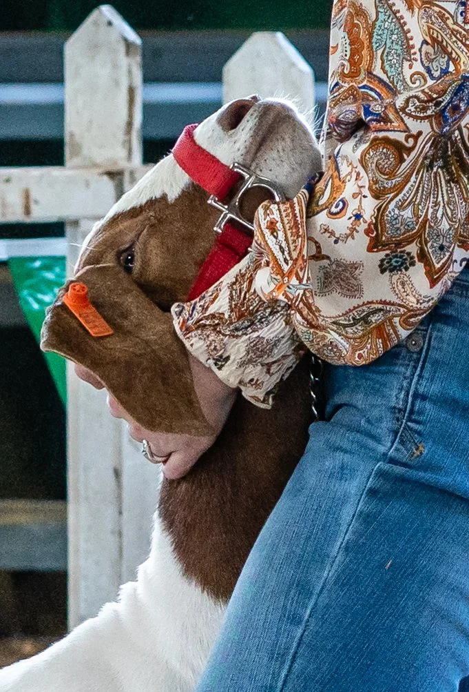 8_5_23 4H Club goats WEB (21 of 32).jpg