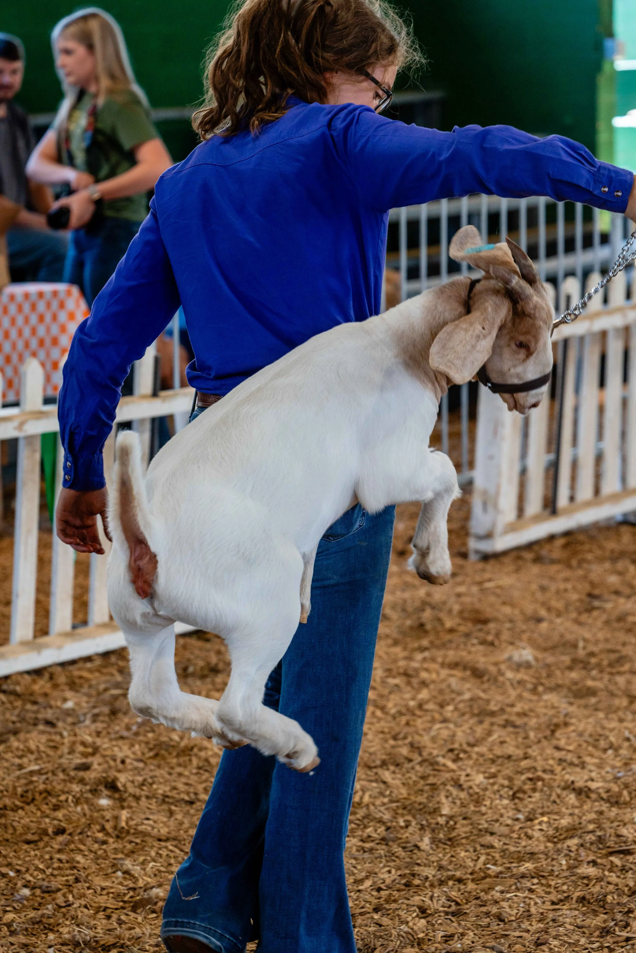 8_5_23 4H Club goats WEB (12 of 32).jpg