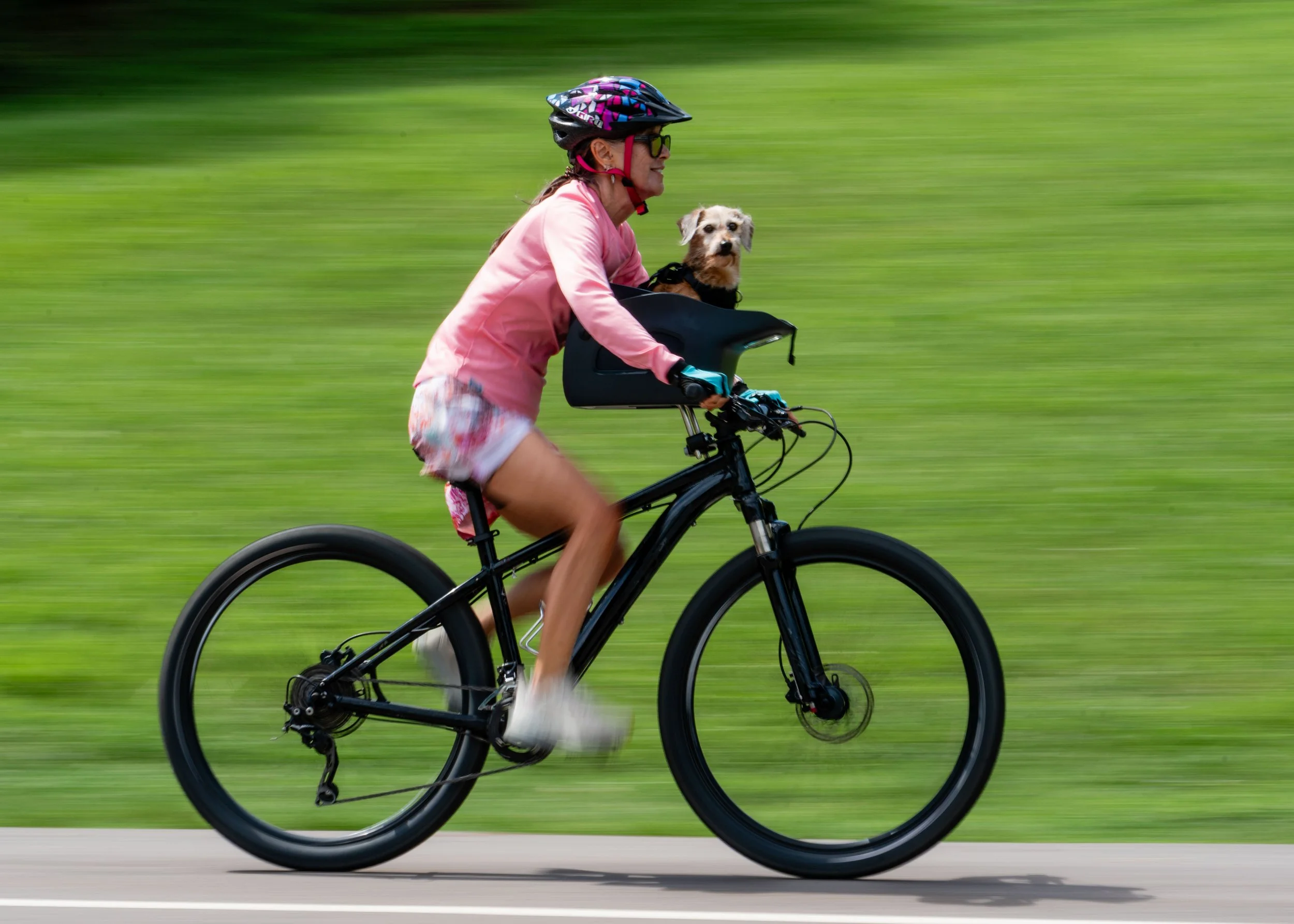 7_18_25 Misc dogs vultures Flrs 72 dpi-12.jpg