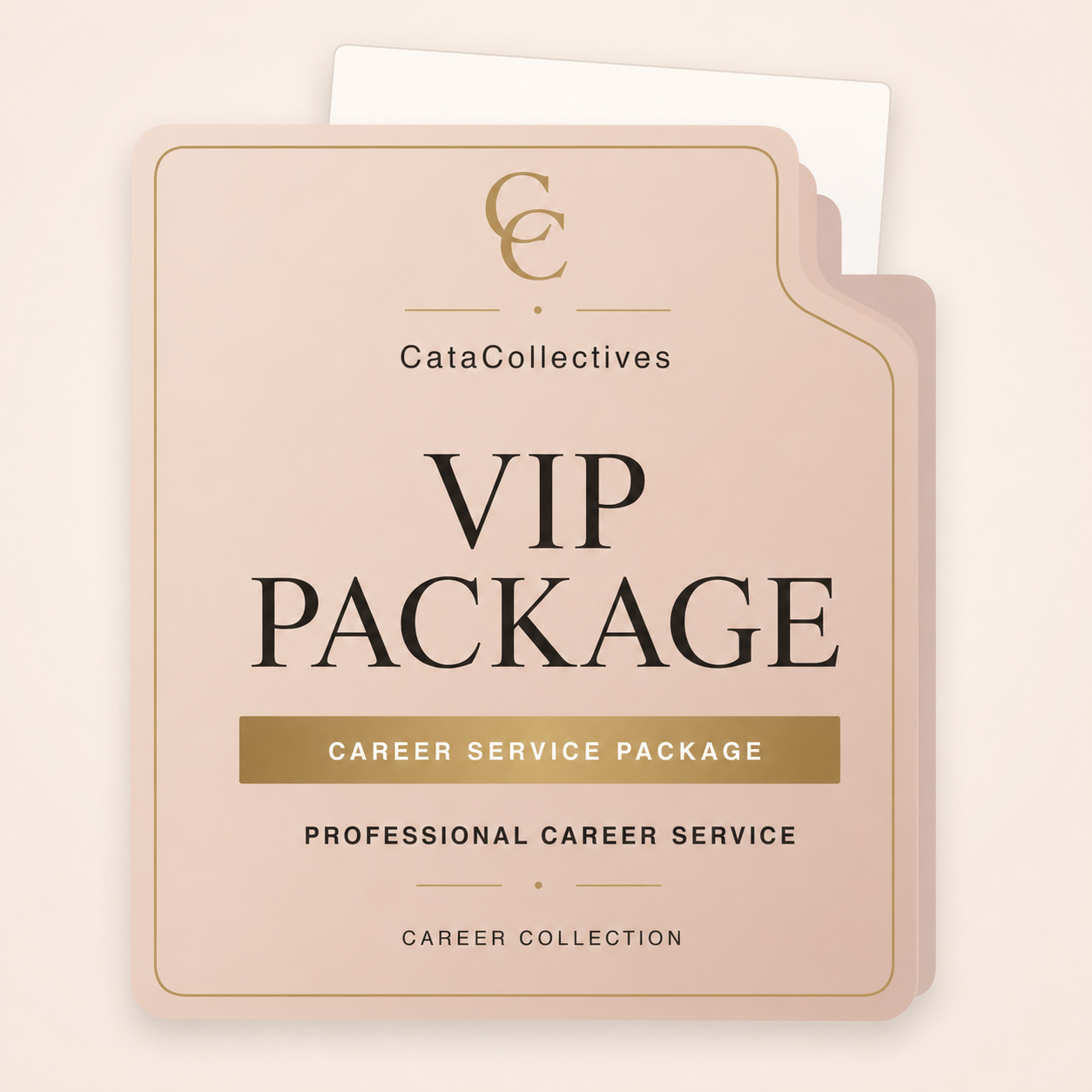 VIP Package