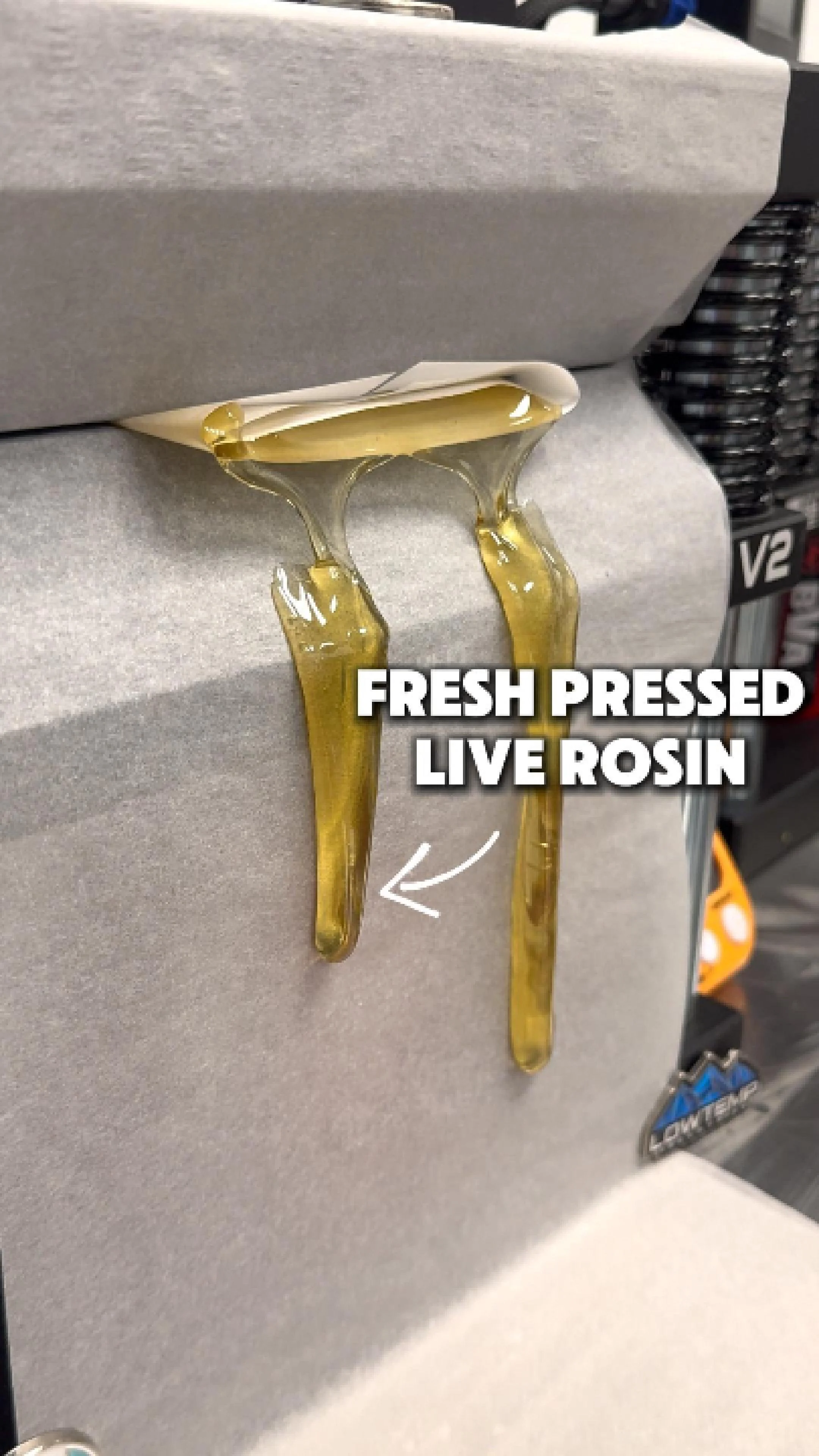 CONCENTRATE WEEK1`-Cover.jpg