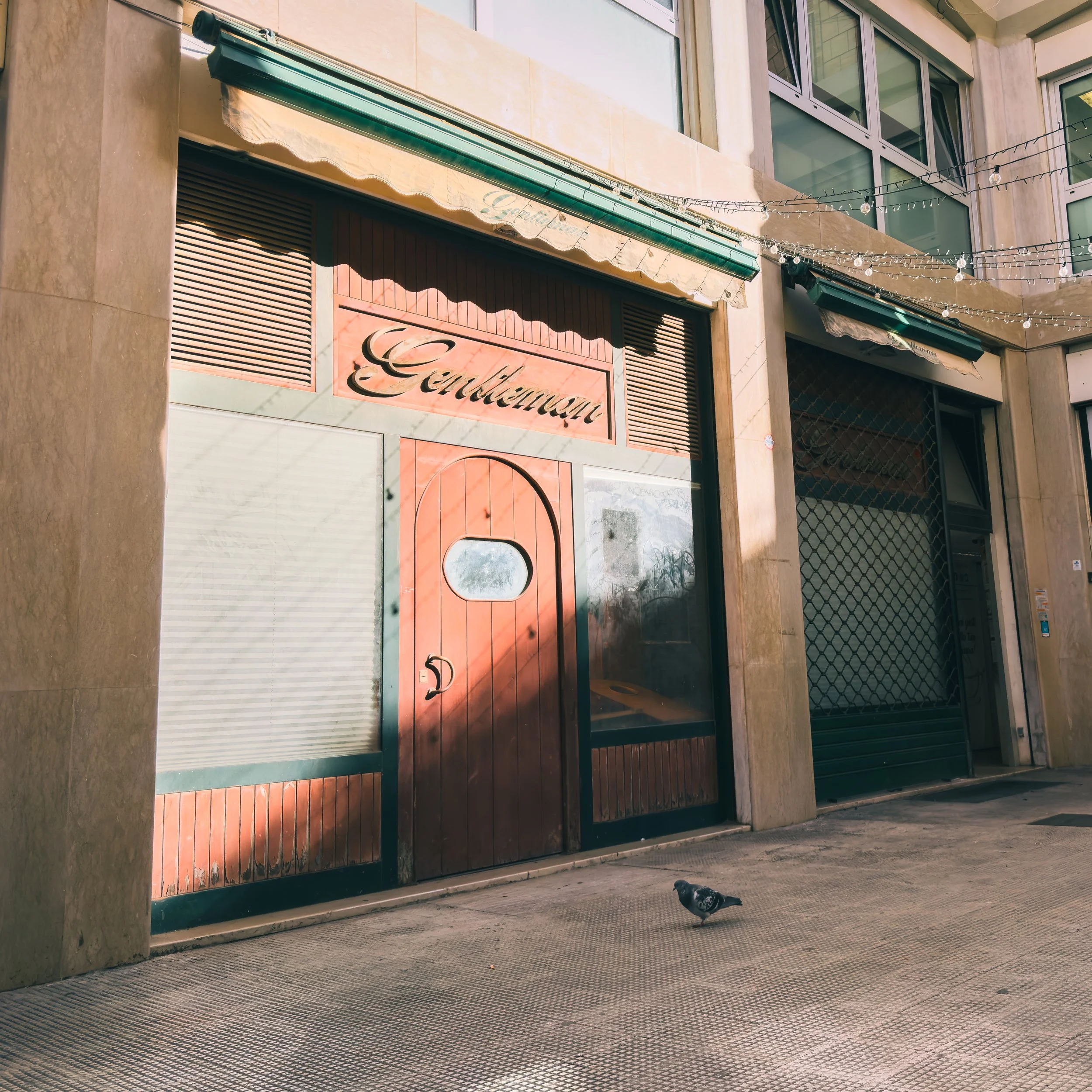 This poor underage pigeon.