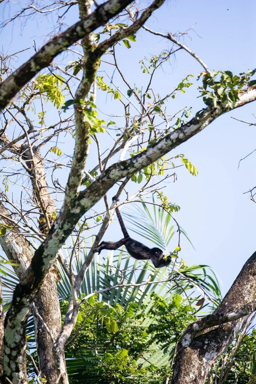 If I can Juuust?.jpeg