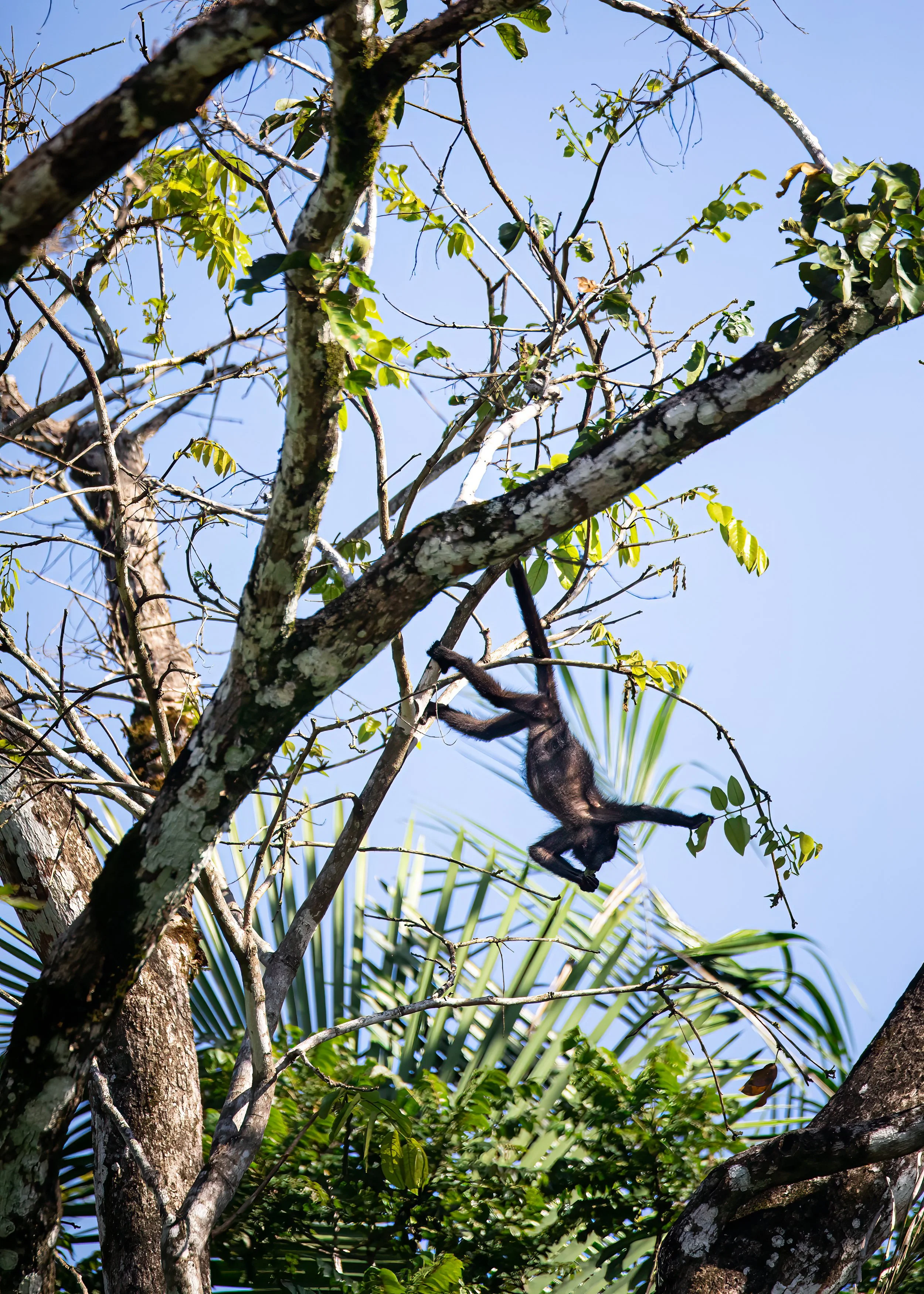 The Good Stuff Is Always The Hardest Reach.jpeg