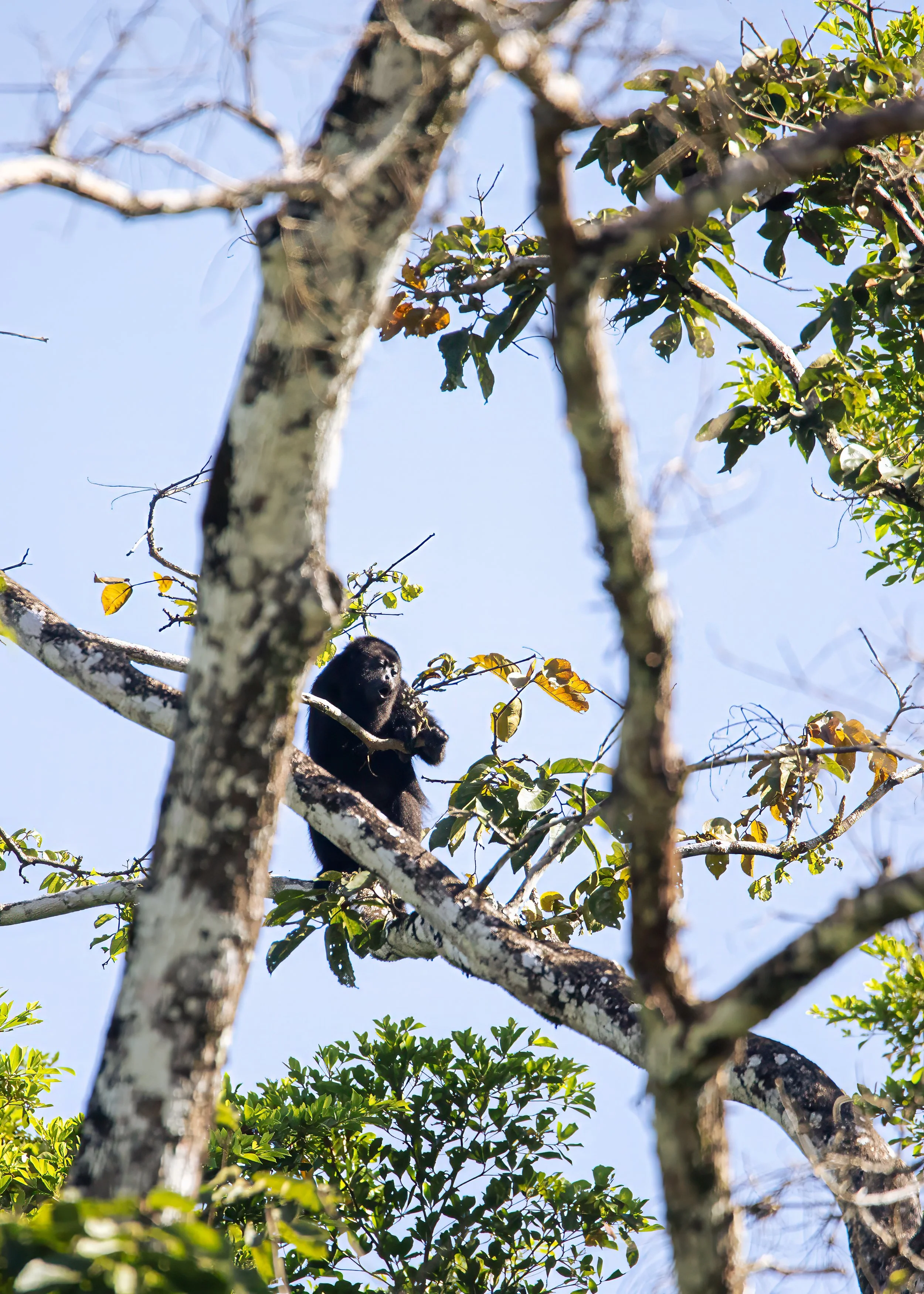 Found the Best Bite.jpg