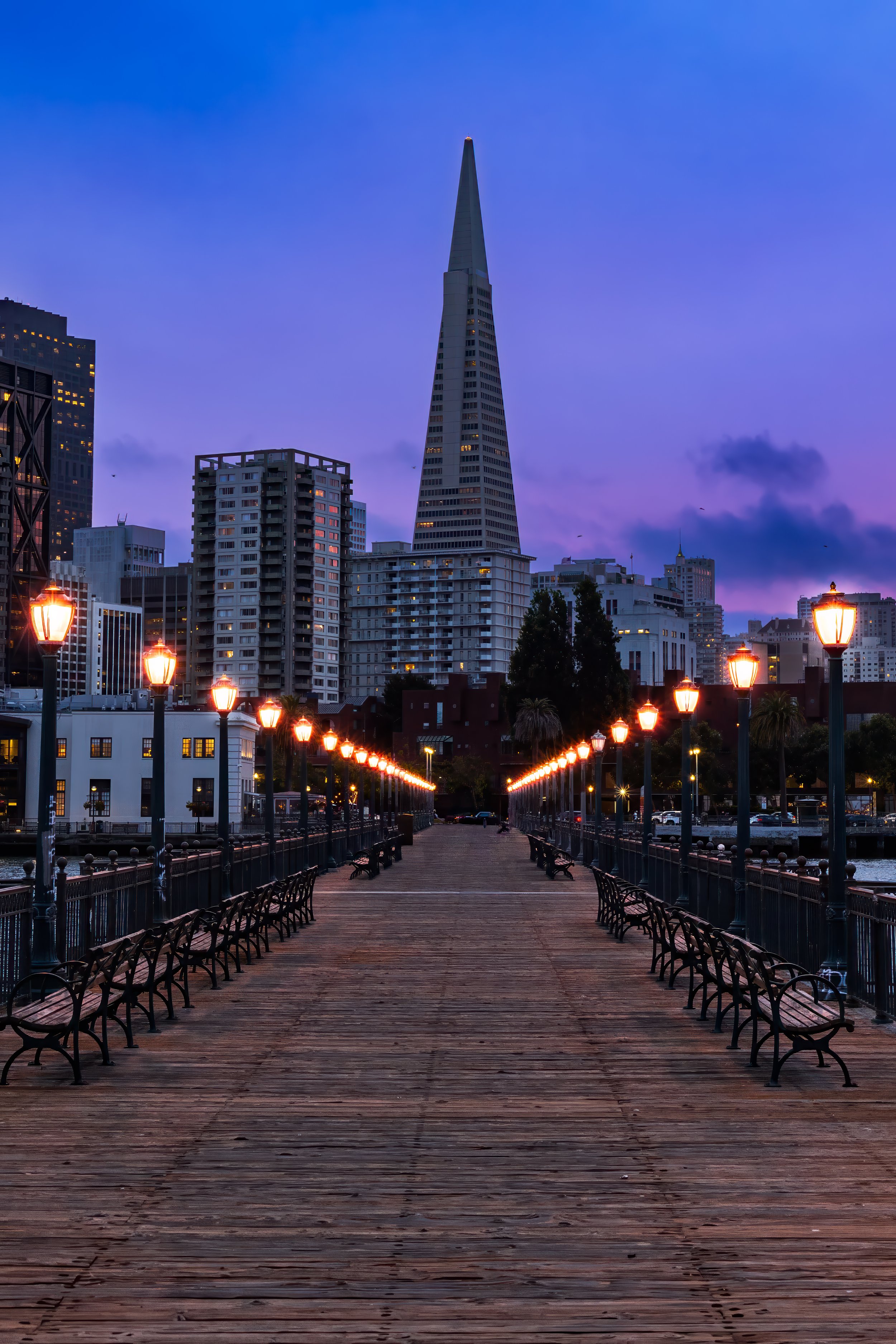 Transamerica Pyramid.jpeg