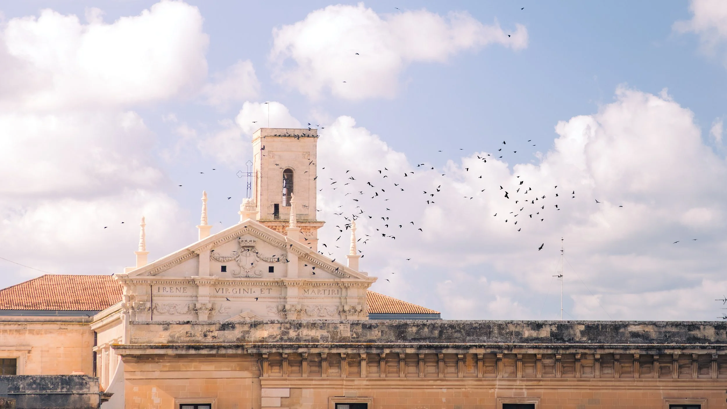 Pigeons over the Cityscape of Lecce, Italy