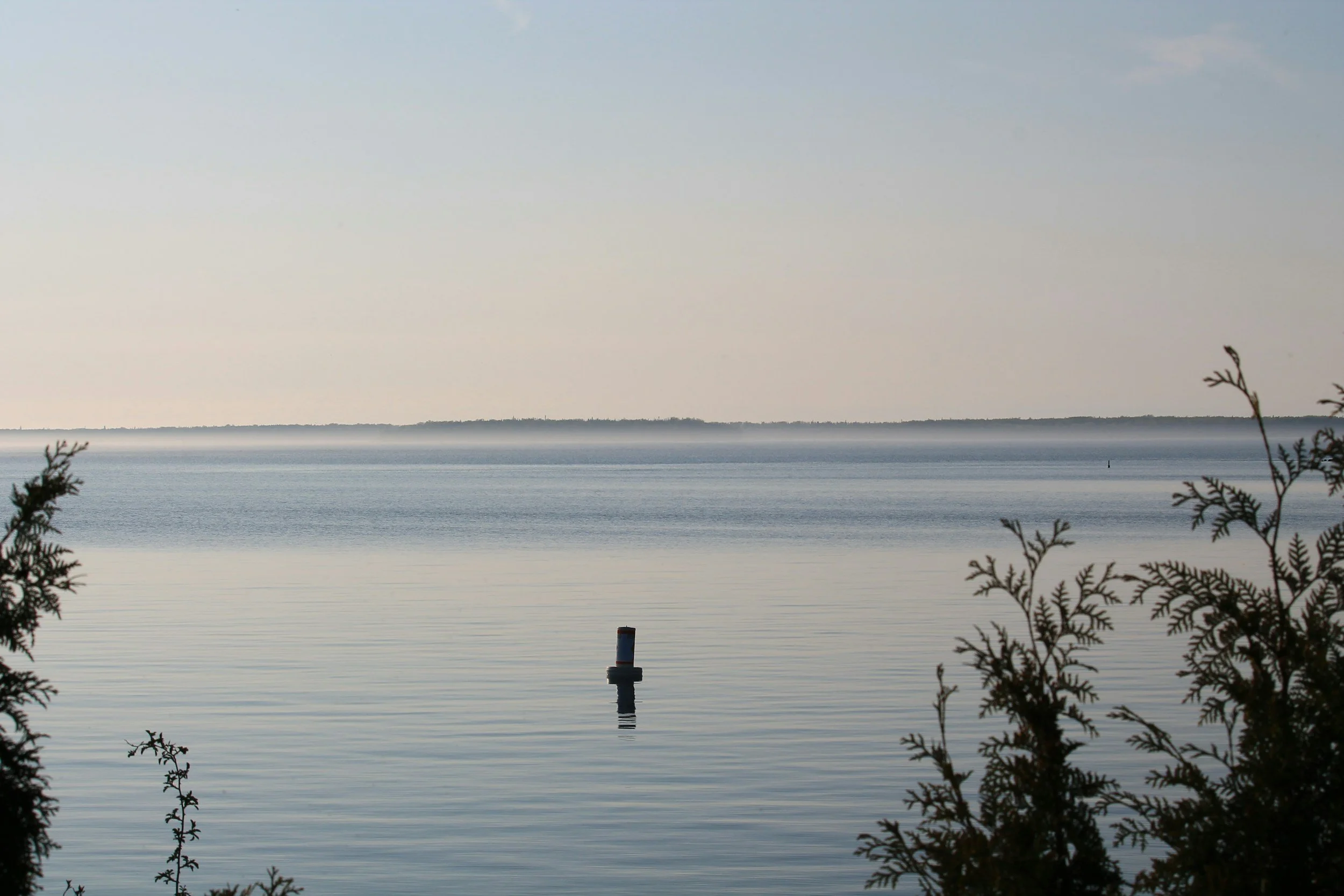 Calm body of water with a small buoy in the middle, framed by leafy bushes in the foreground, and a distant shoreline with a clear sky above.