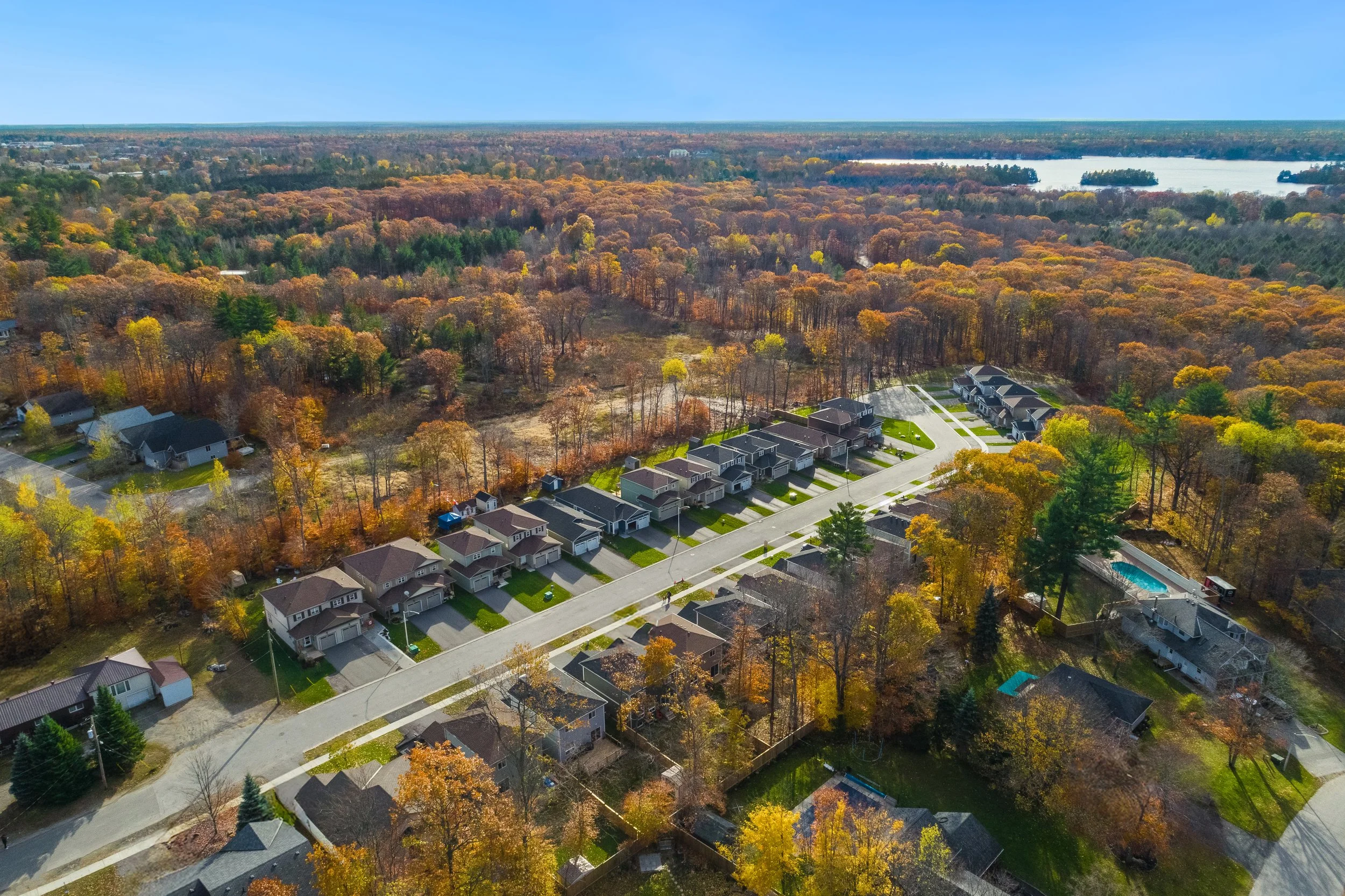 Housing development with a fall coloured forest surrounding