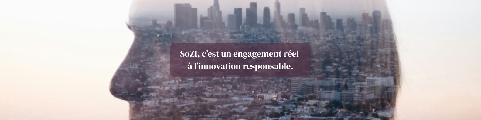 SoZI est sur LinkedIn!