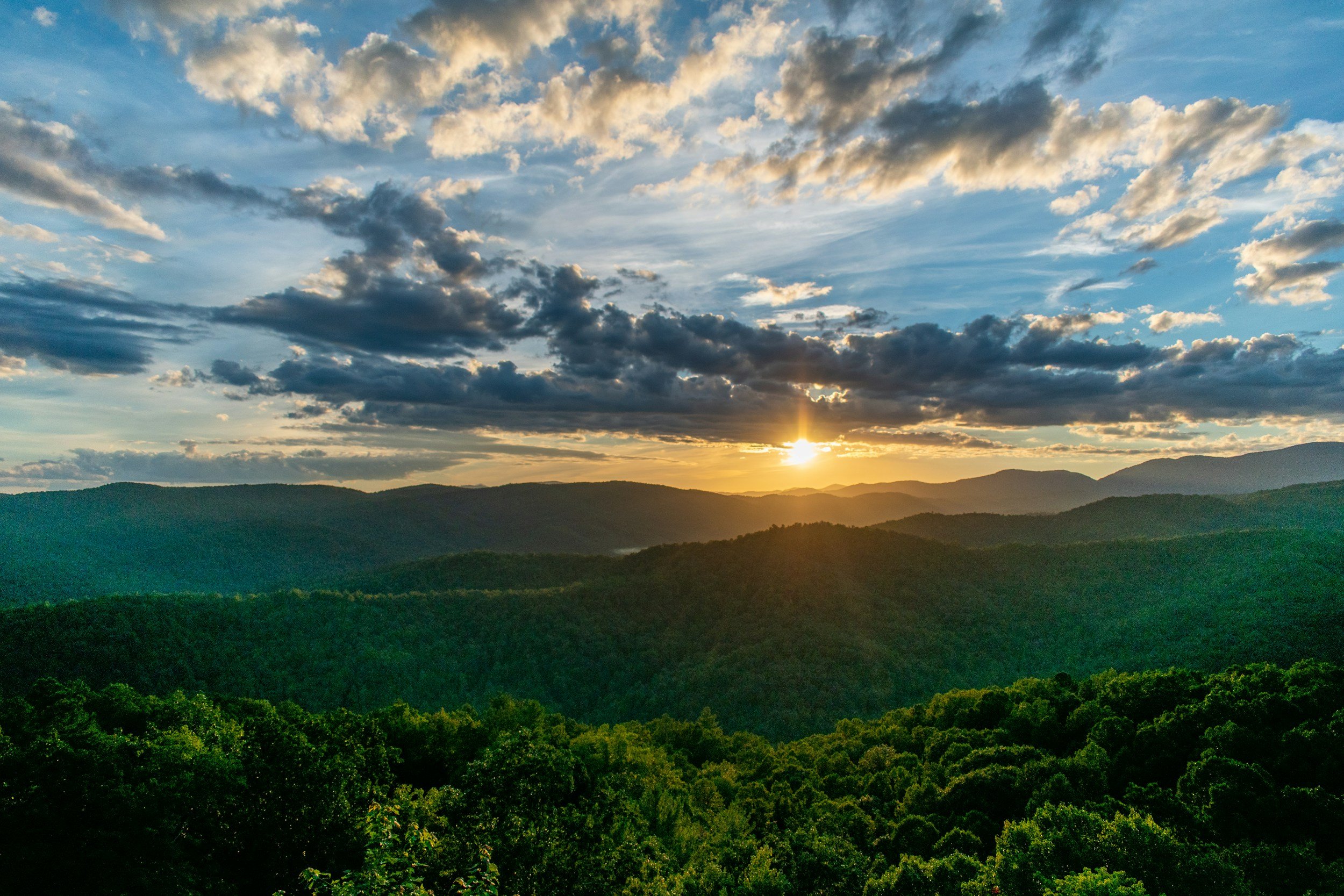 Voting Guide 2024 North Carolina