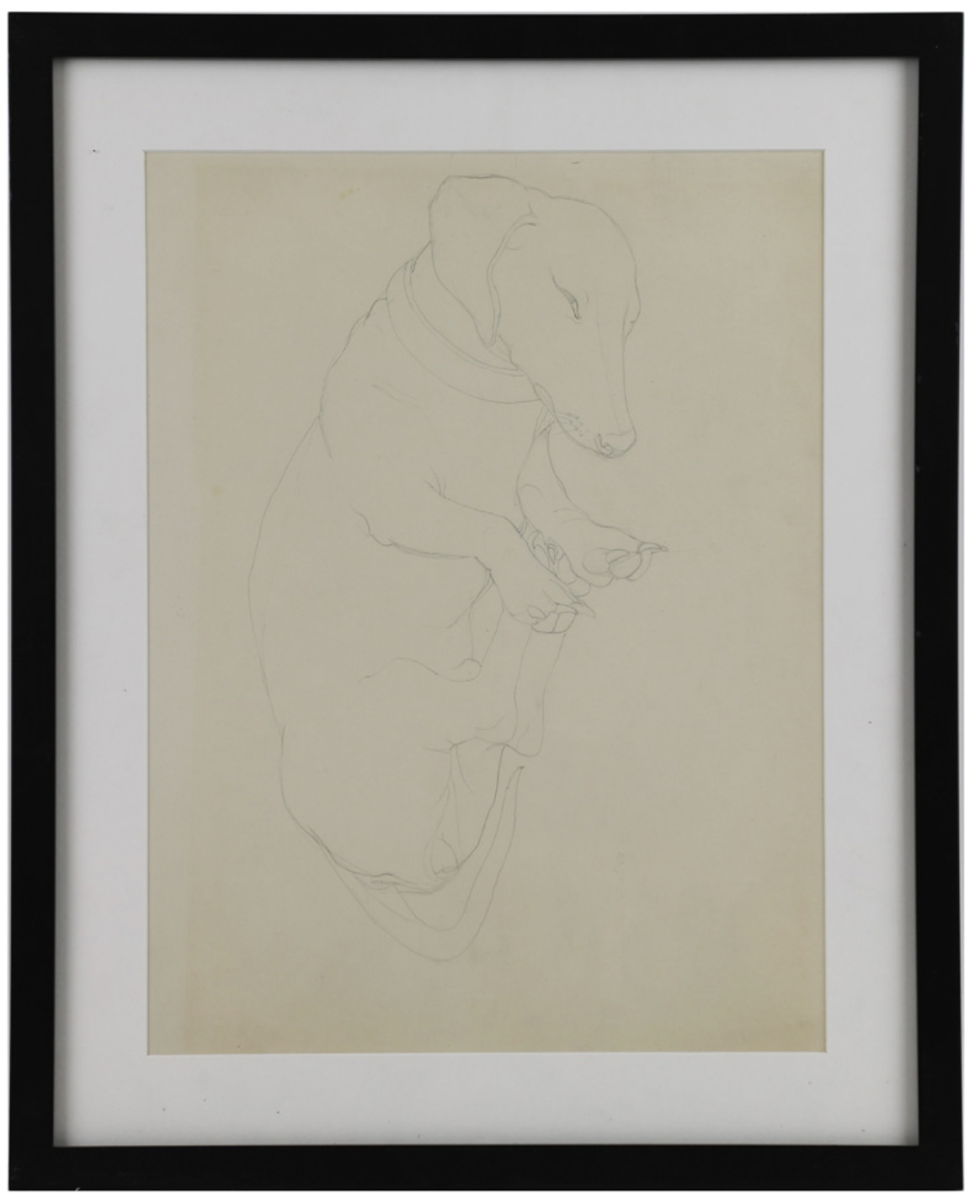 Emmy Lou Packard, dauchund.jpg.png