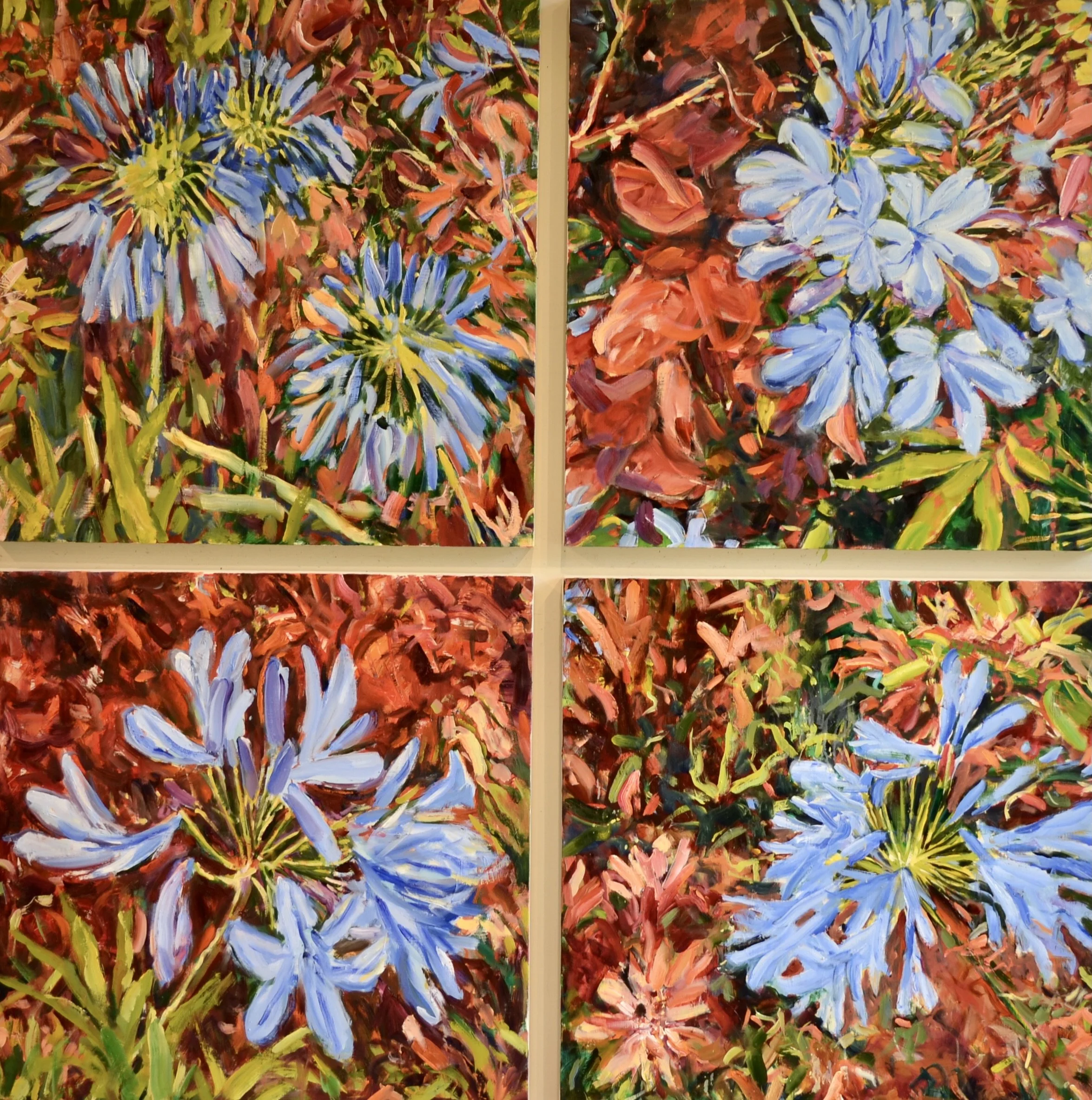 Pat Mahony, Agapanthus, 2026, oil on canvas, 62 x 62 in