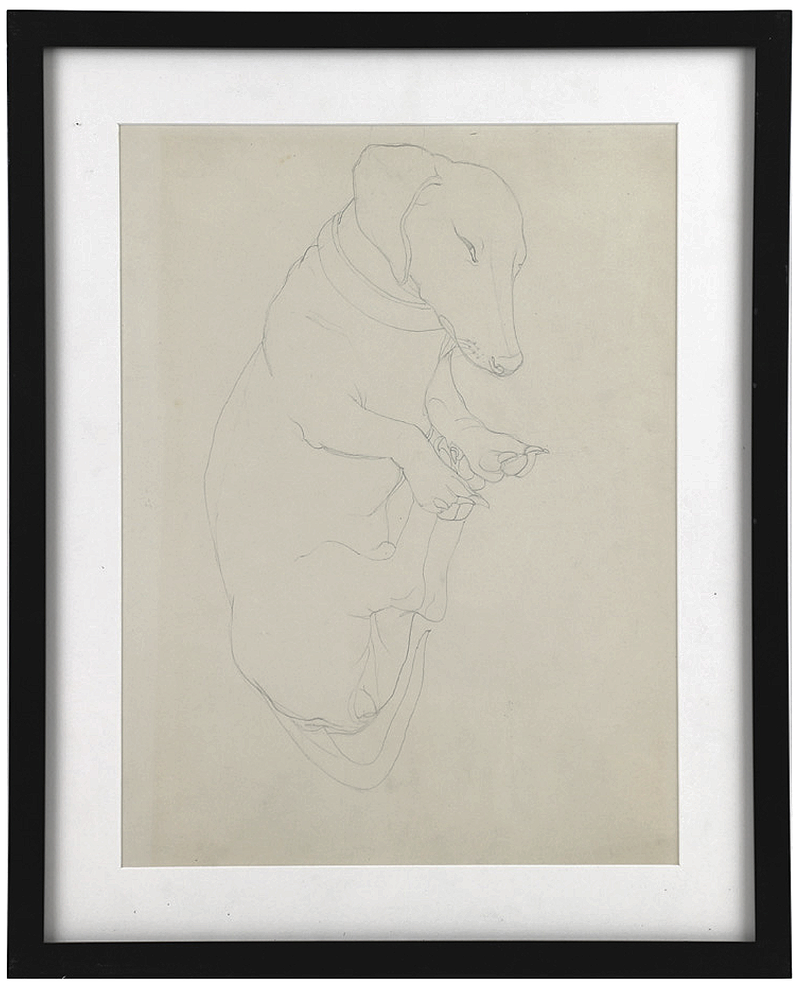 Emmy Lou Packard, Emmy Lou's Dachshund, Pencil on paper, 17" x 12"