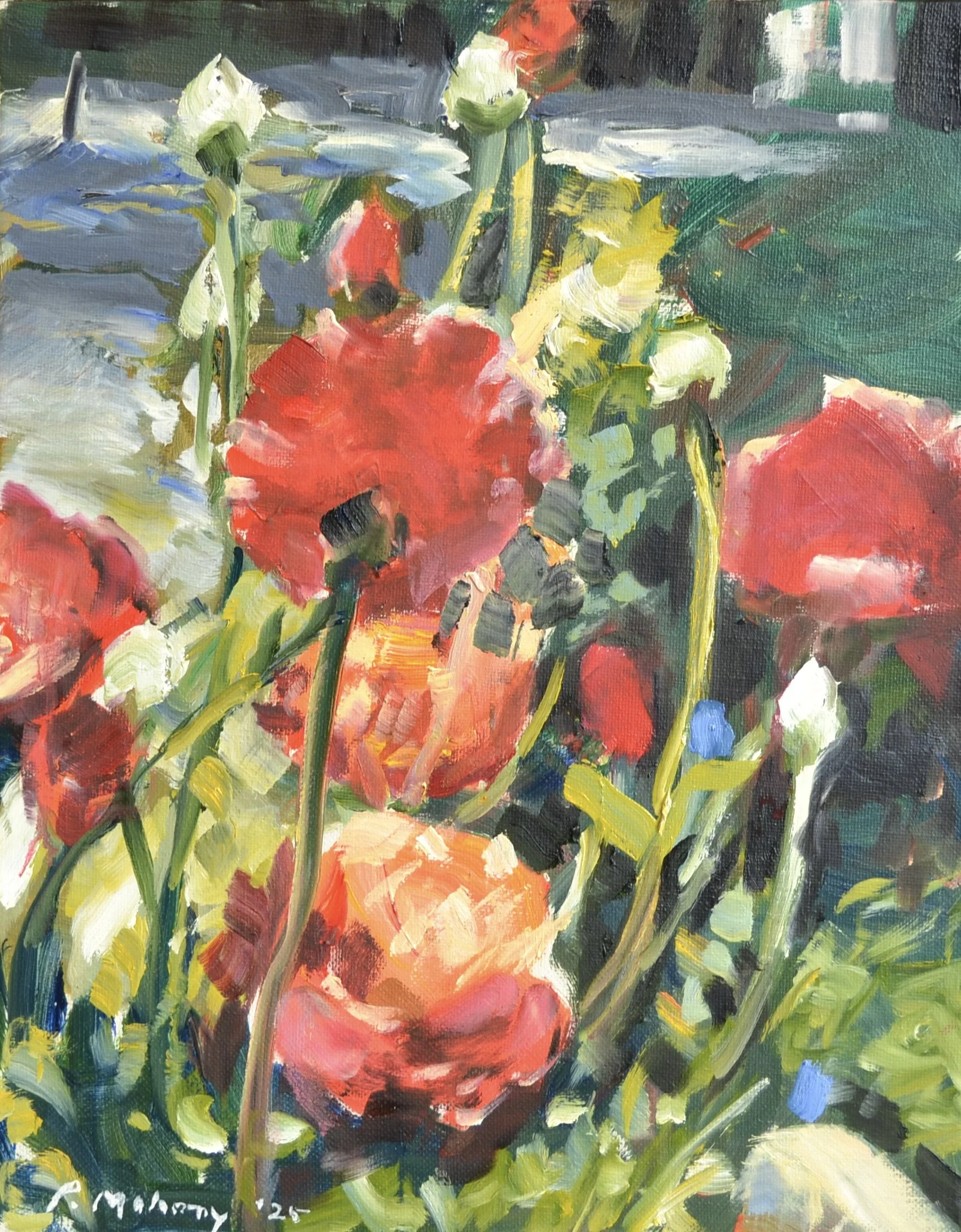 Pat Mahony, Ranunculus, 2025, Oil on canvas, 14 x 11 in