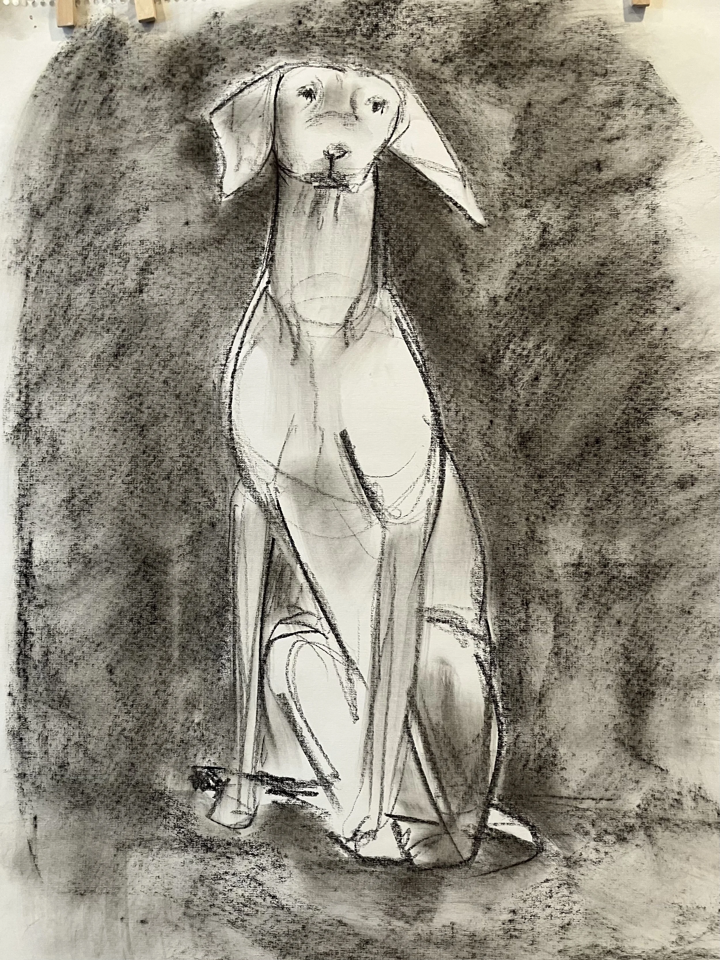 René Martucci, Sitting Dog #2, 2026, charcoal on paper, 27.5 x 21.5 in