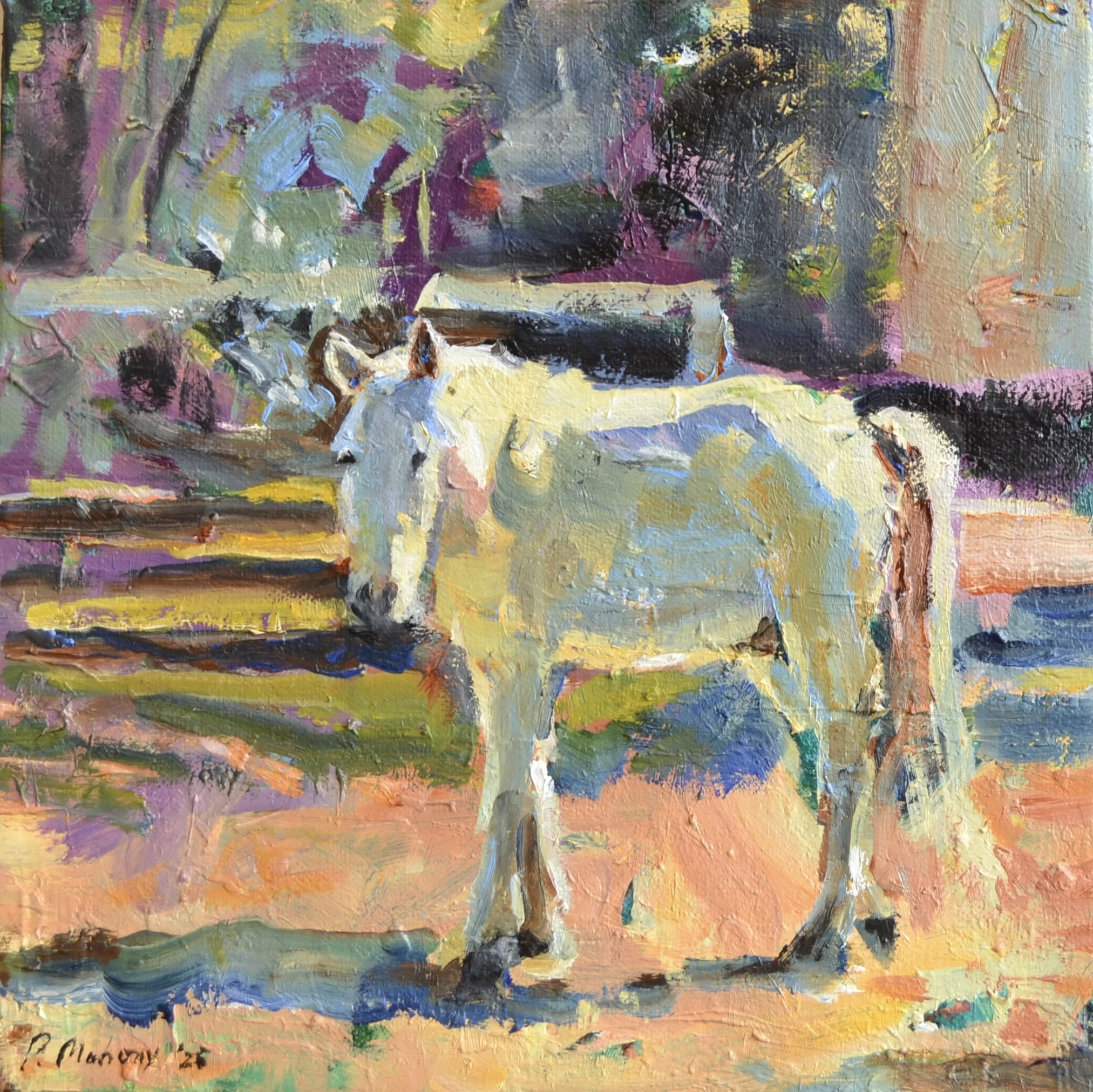 Pat Mahony, Ghost Horse, 2025, Oil on canvas, 10 x 10 in