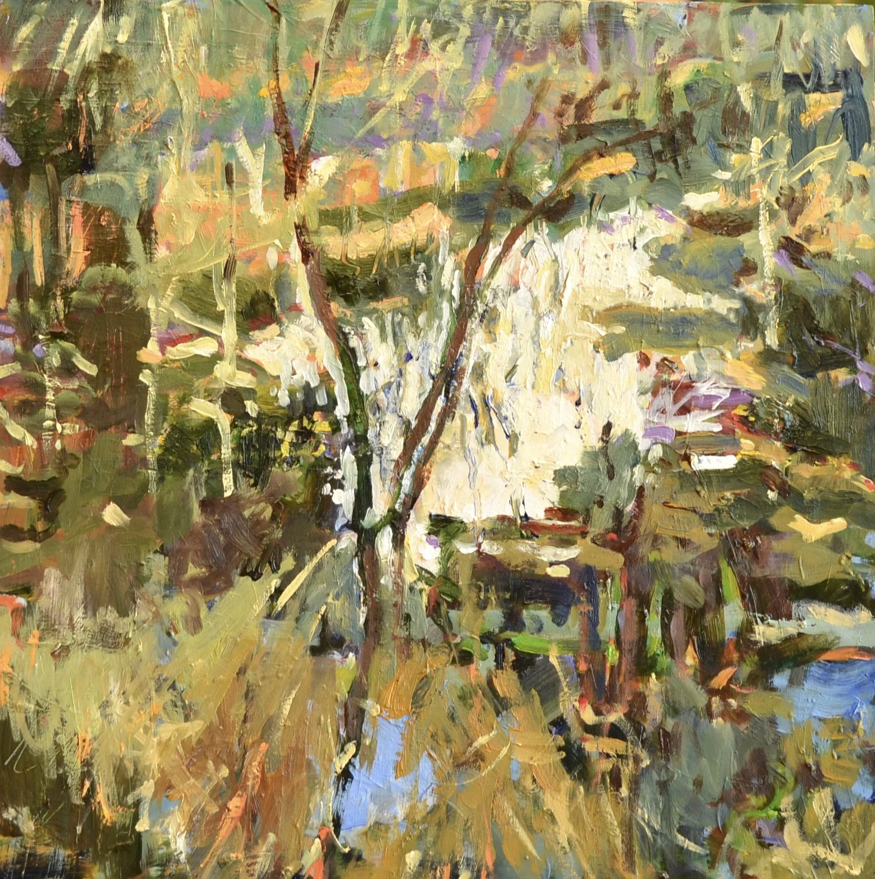 Pat Mahony, Frog Pond (Study), 2026, Oil on canvas, 12 x 12 in