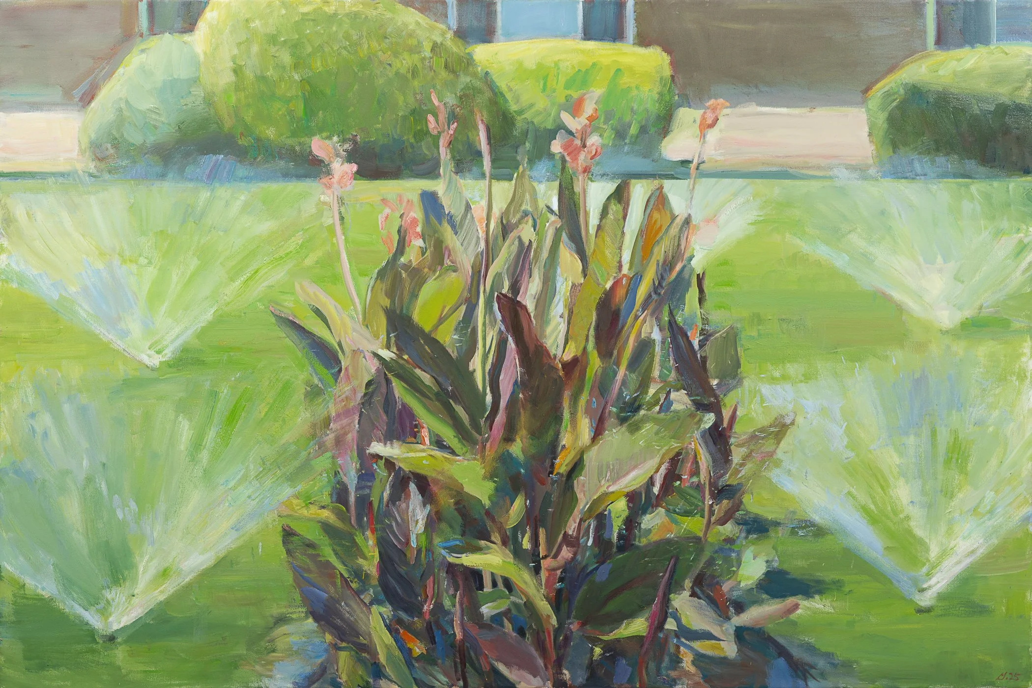 Boyd Gavin, Apartment Sprinklers, 2025, oil on canvas, 54 x 80 inches