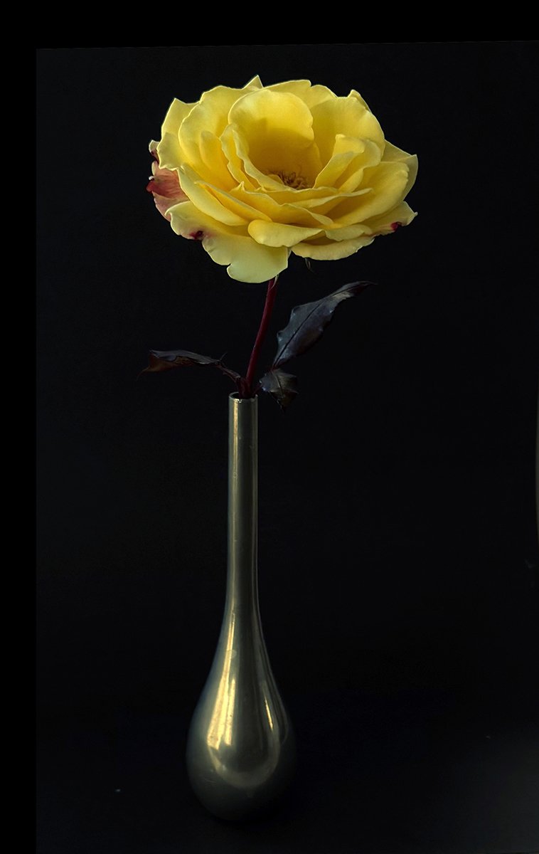 George Tchobanoglous, Still Life, inkjet print, 18 x 12 in