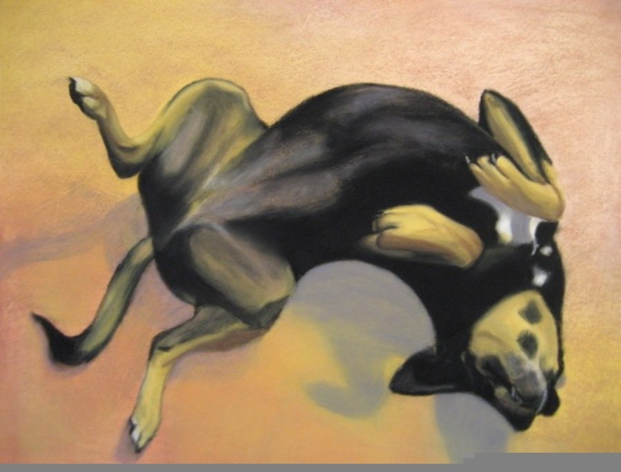 MARTI WALKER: I'm Easy! | 12" x 16" | Pastel | 2012