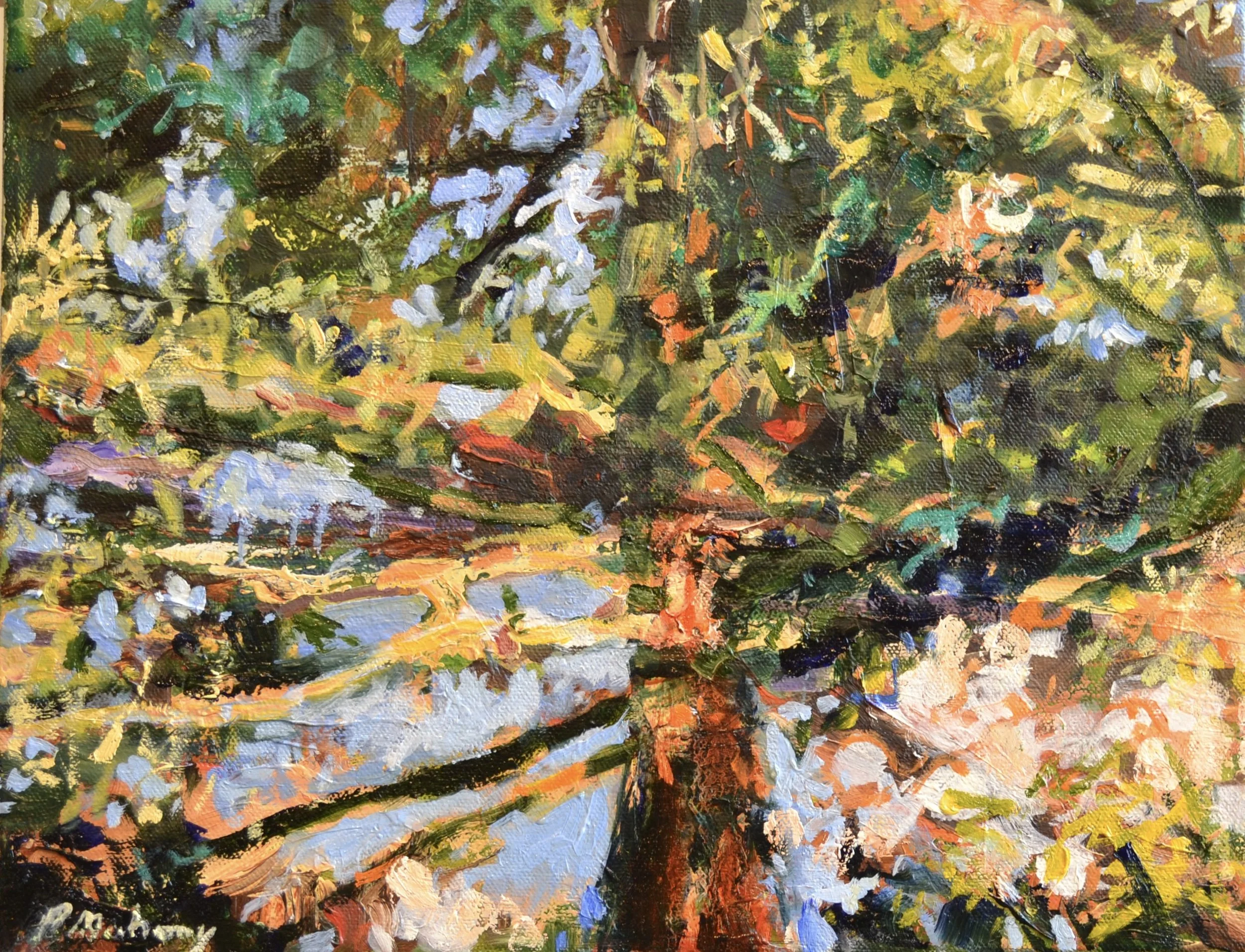 Pat Mahony, Redwood at Sunset (Study), 2025, Oil on canvas, 11 x 14 in