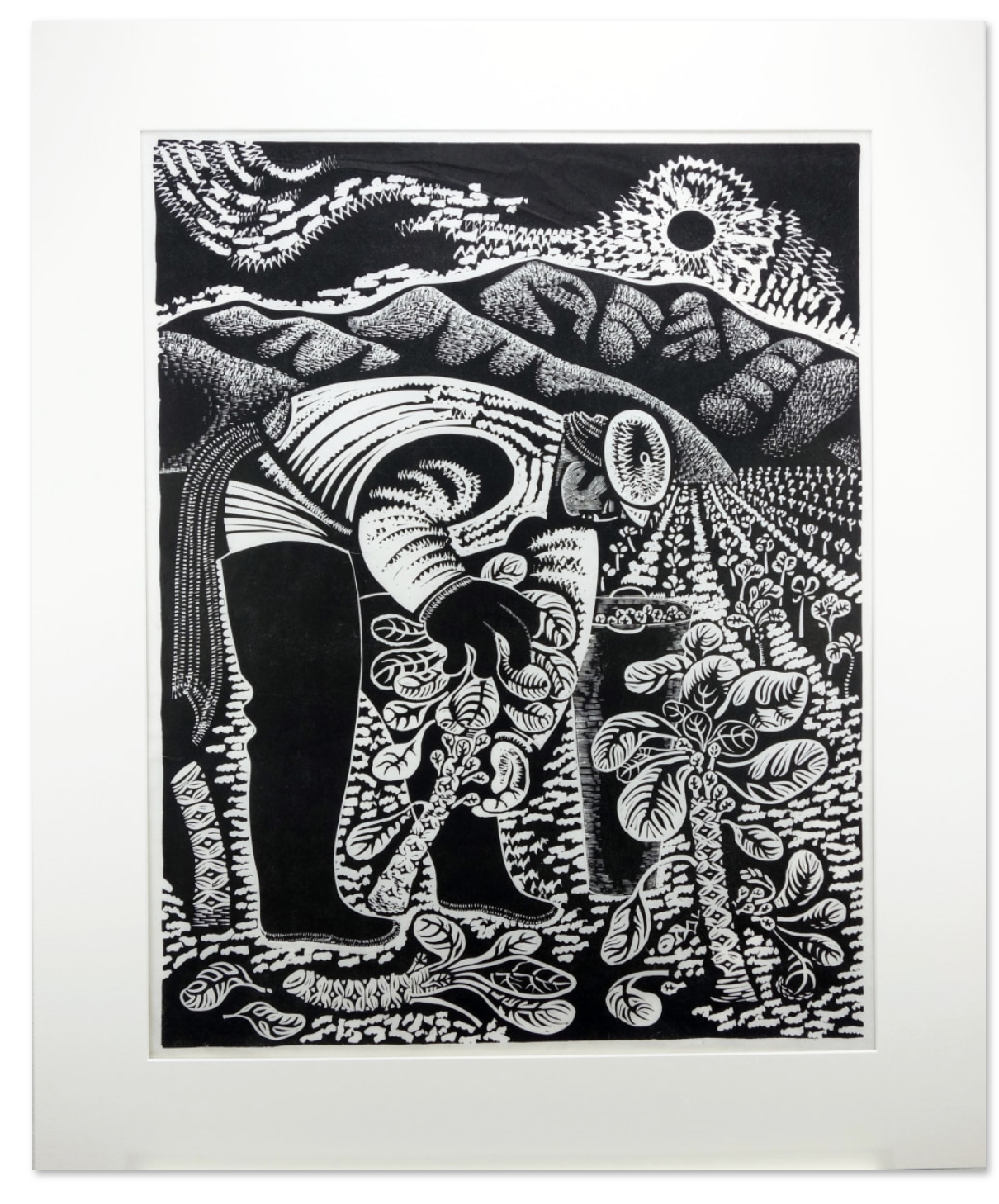 Emmy Lou Packard Brussel Sprouts.jpg.png